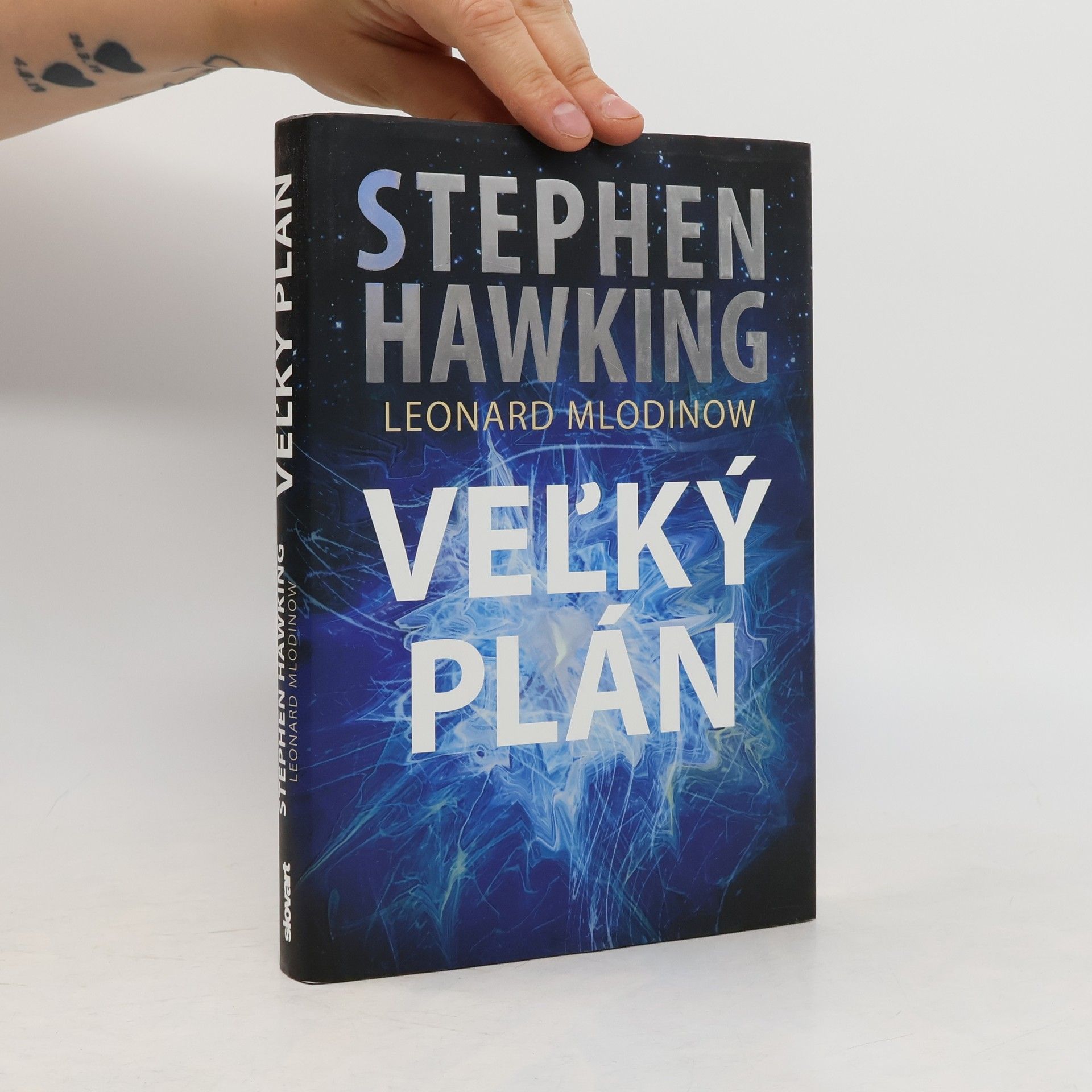 Stephen Hawking Veľký plán
