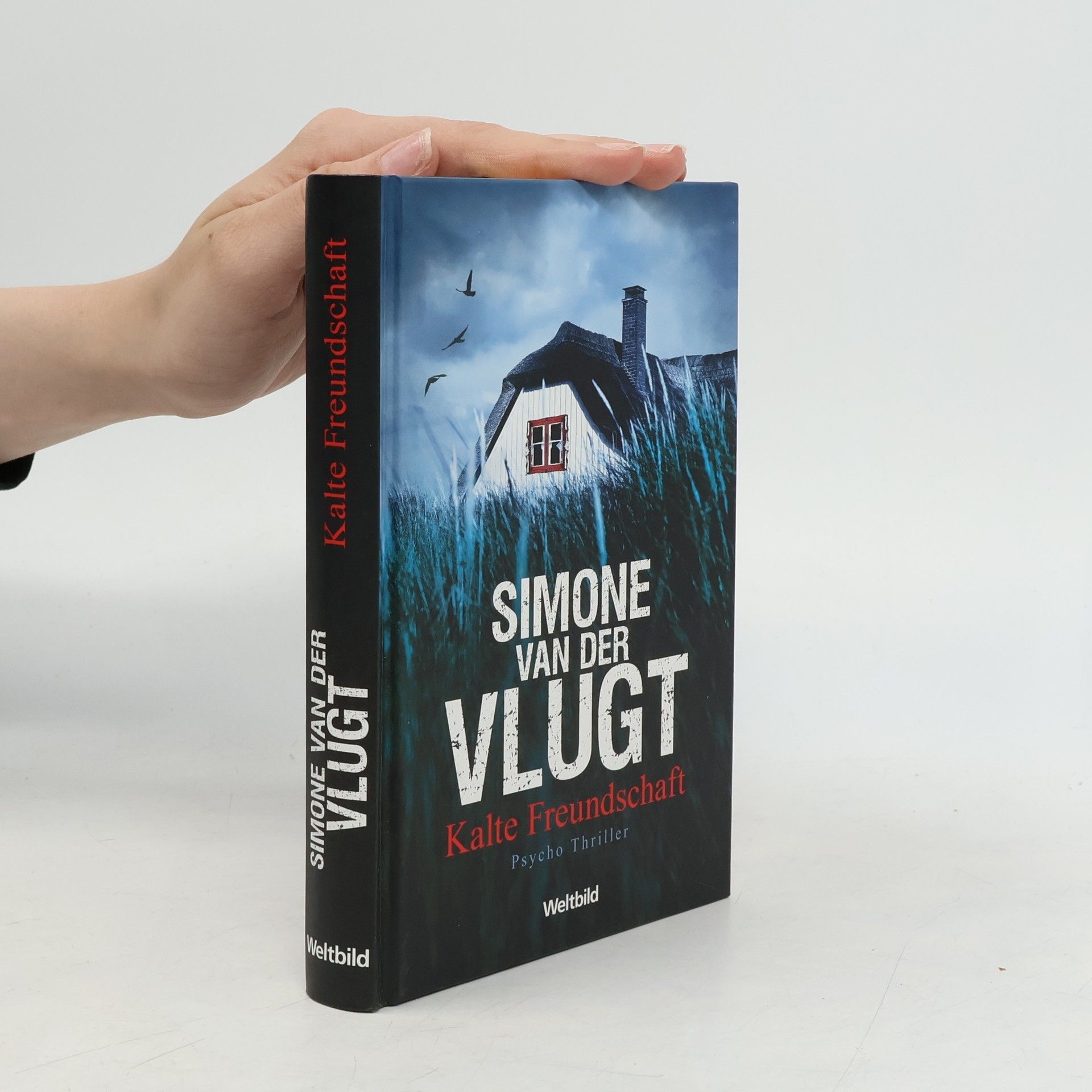 Simone van der Vlugt Kalte Freundschaft