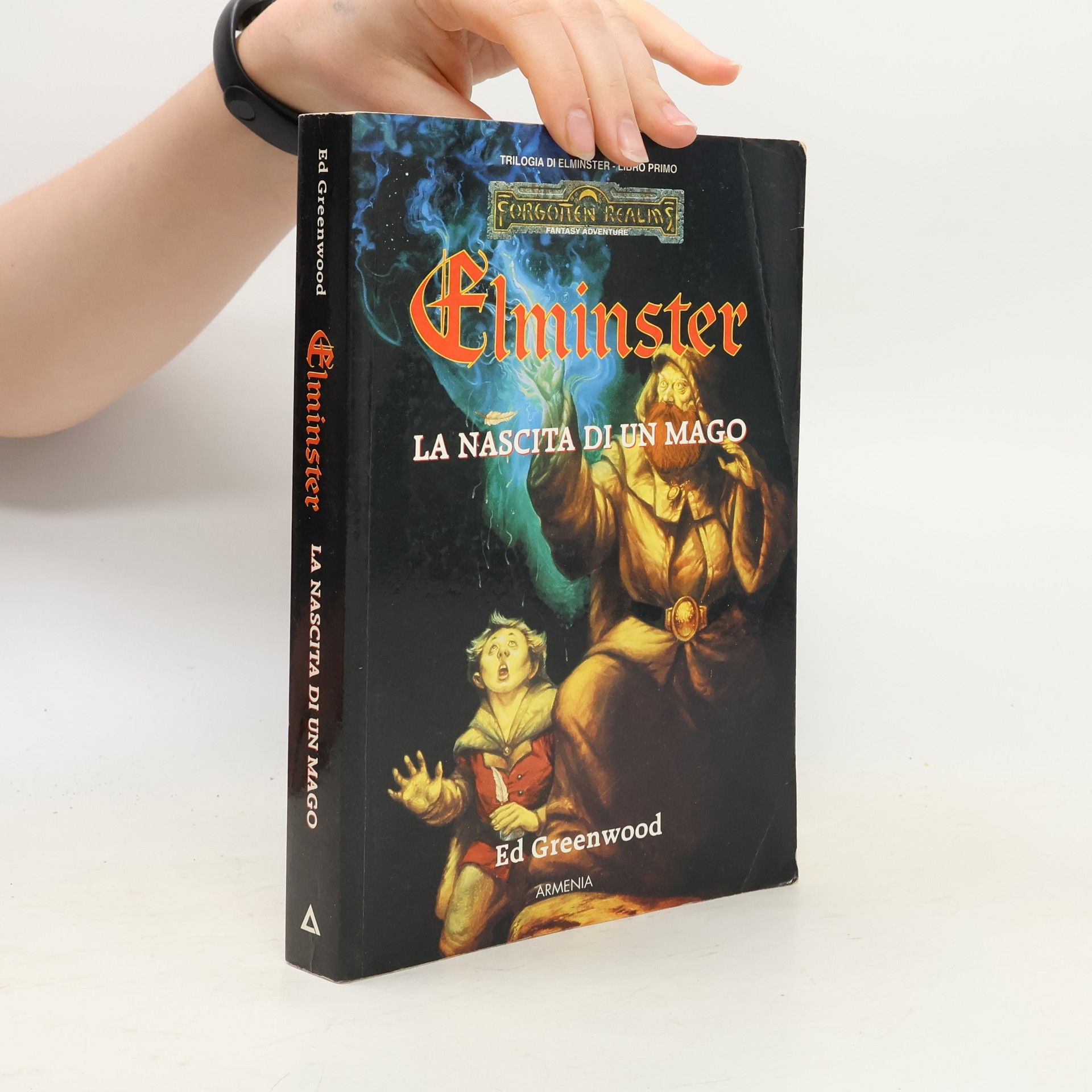 Elminster. La nascita di un mago