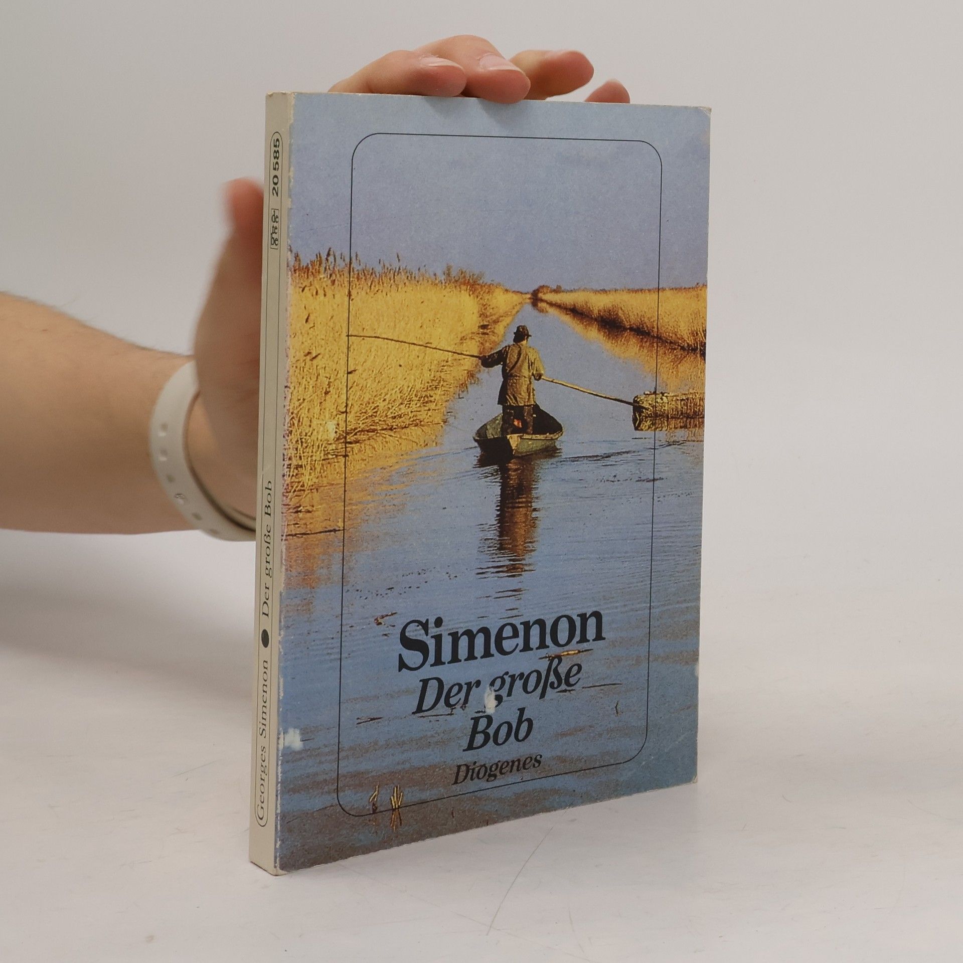 Georges Simenon Der grosse Bob