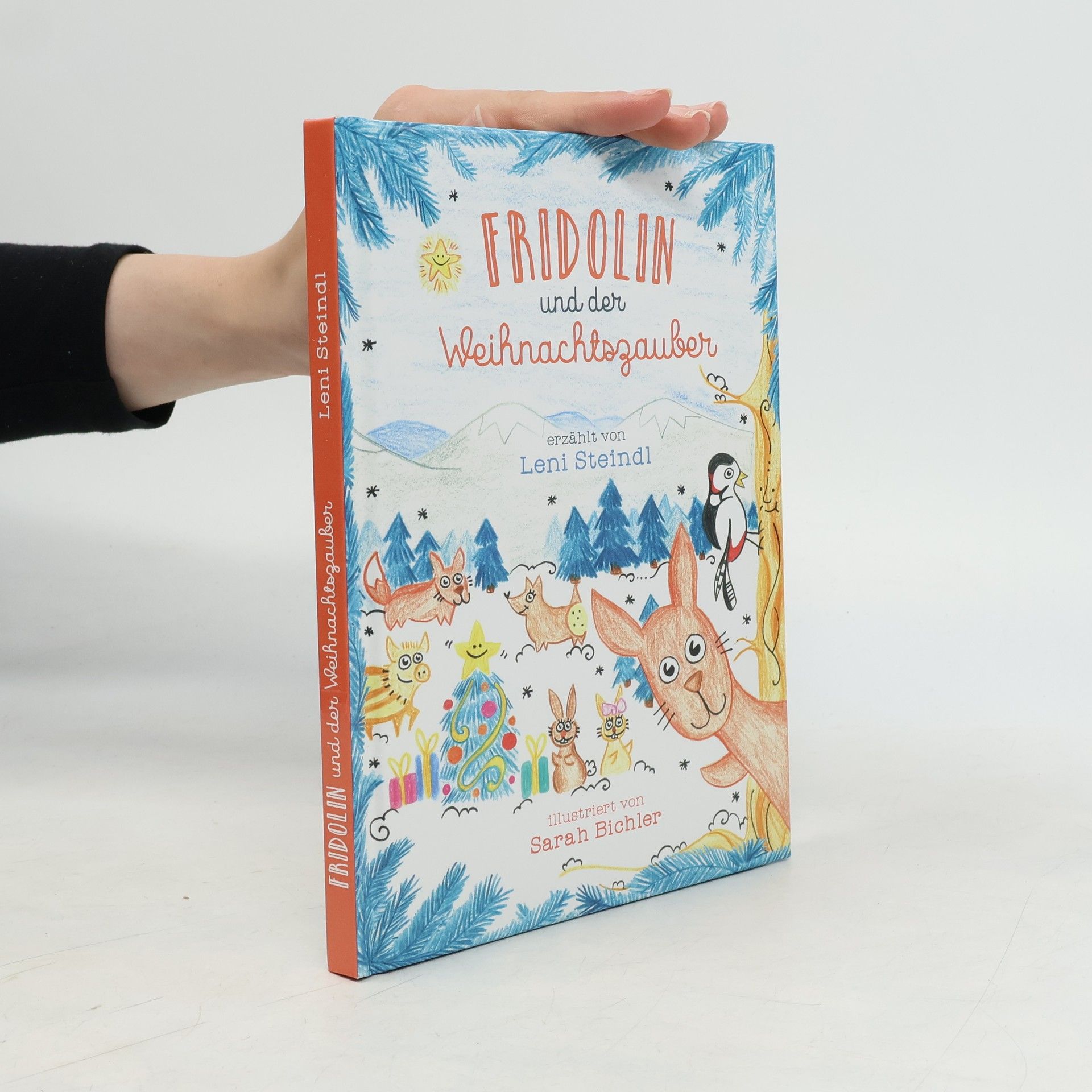 Leni Steindl Fridolin und der Weihnachtszauber