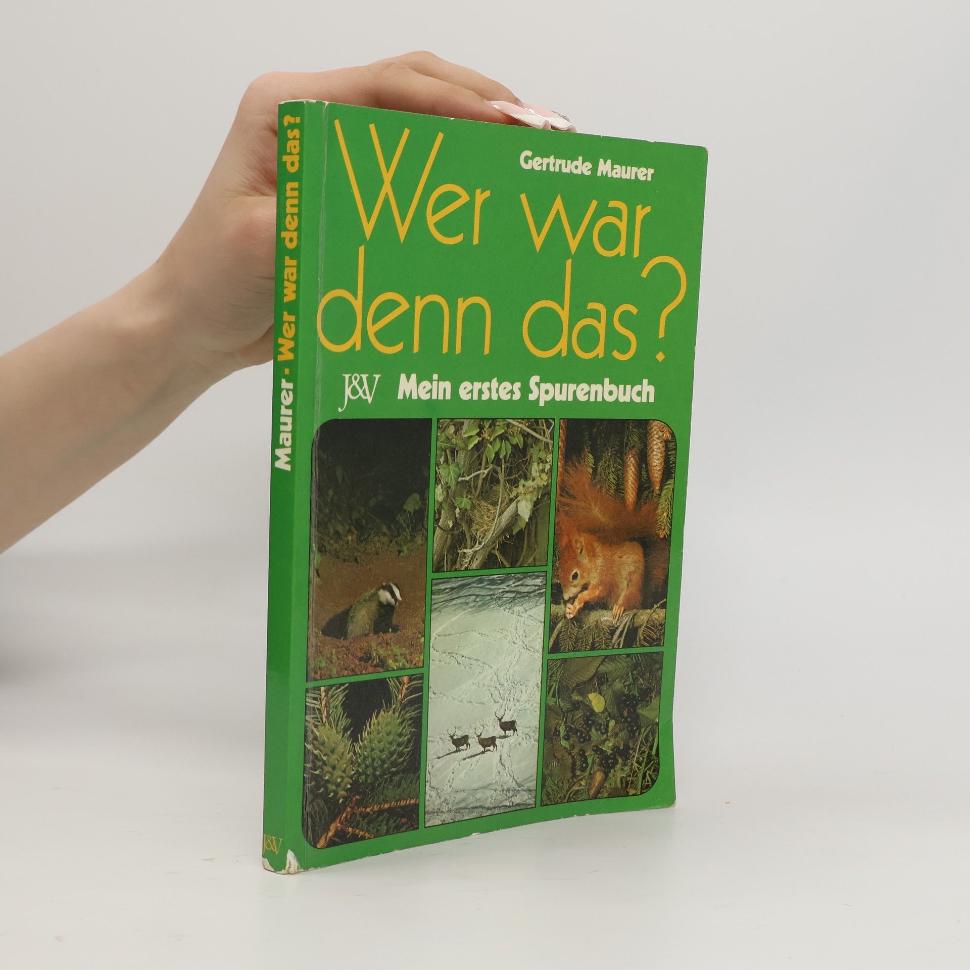 Gertrude Maurer Wer war denn das?