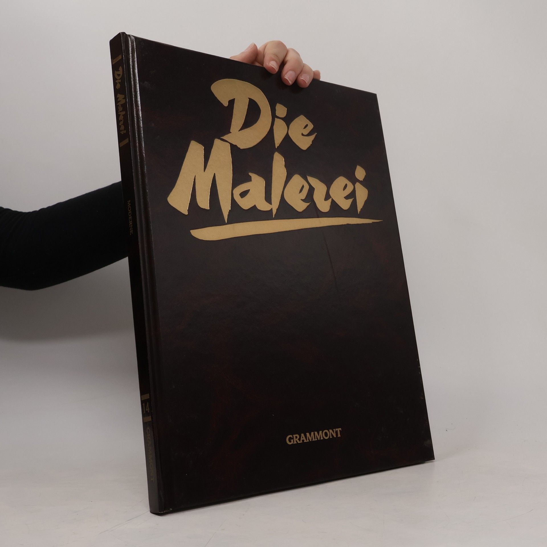 Autorenkollektiv Die Malerei 14. Moderne