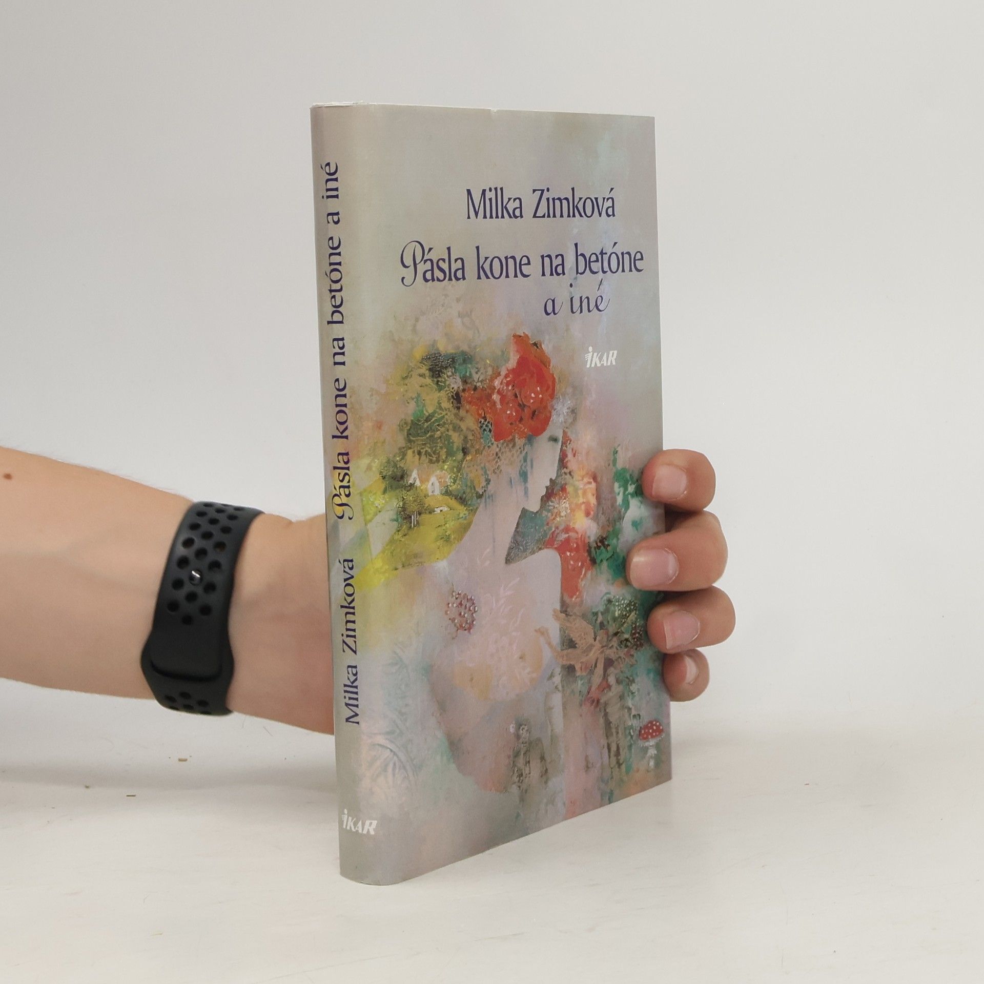 Zimková Milka Pásla kone na betóne a iné