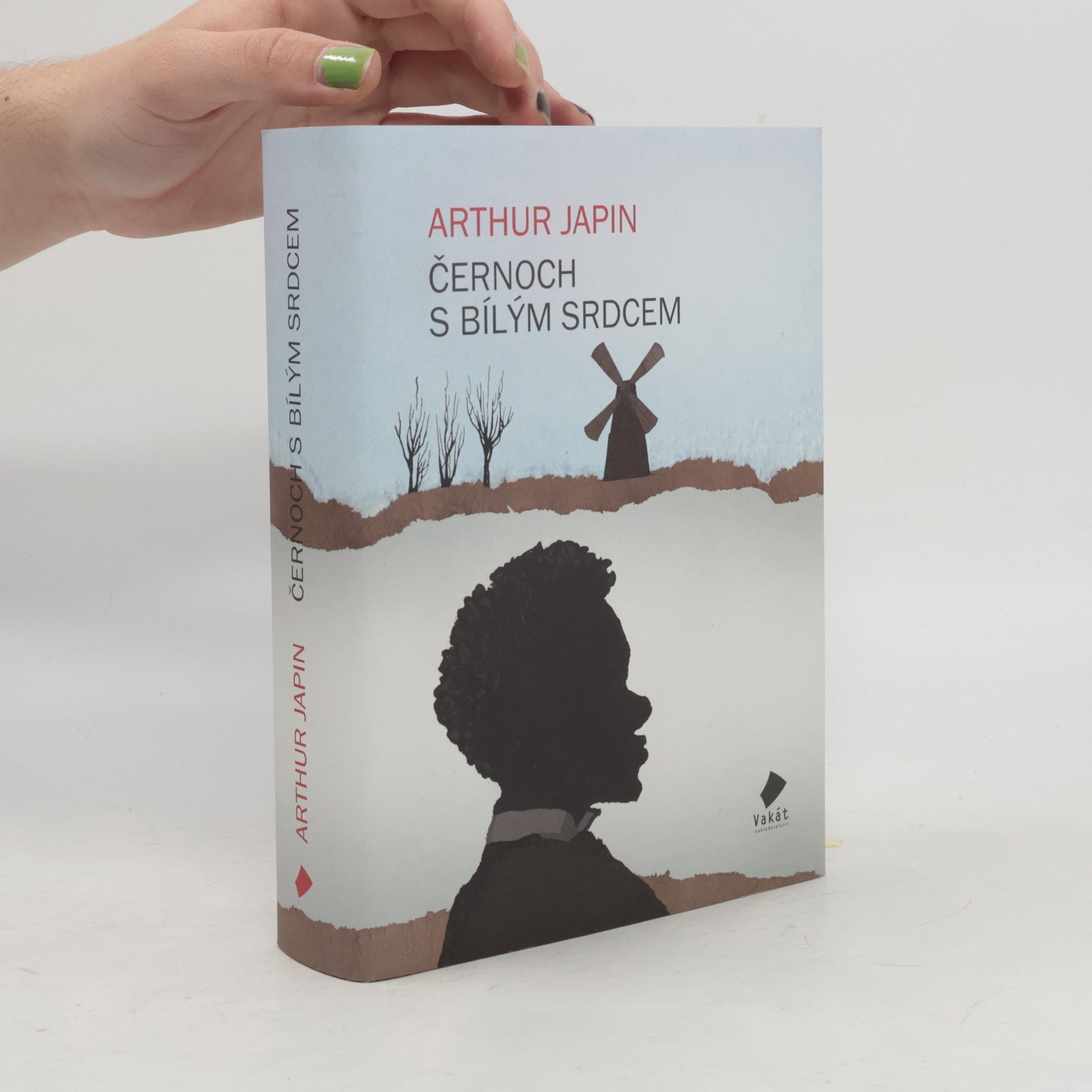 Arthur Japin Černoch s bílým srdcem