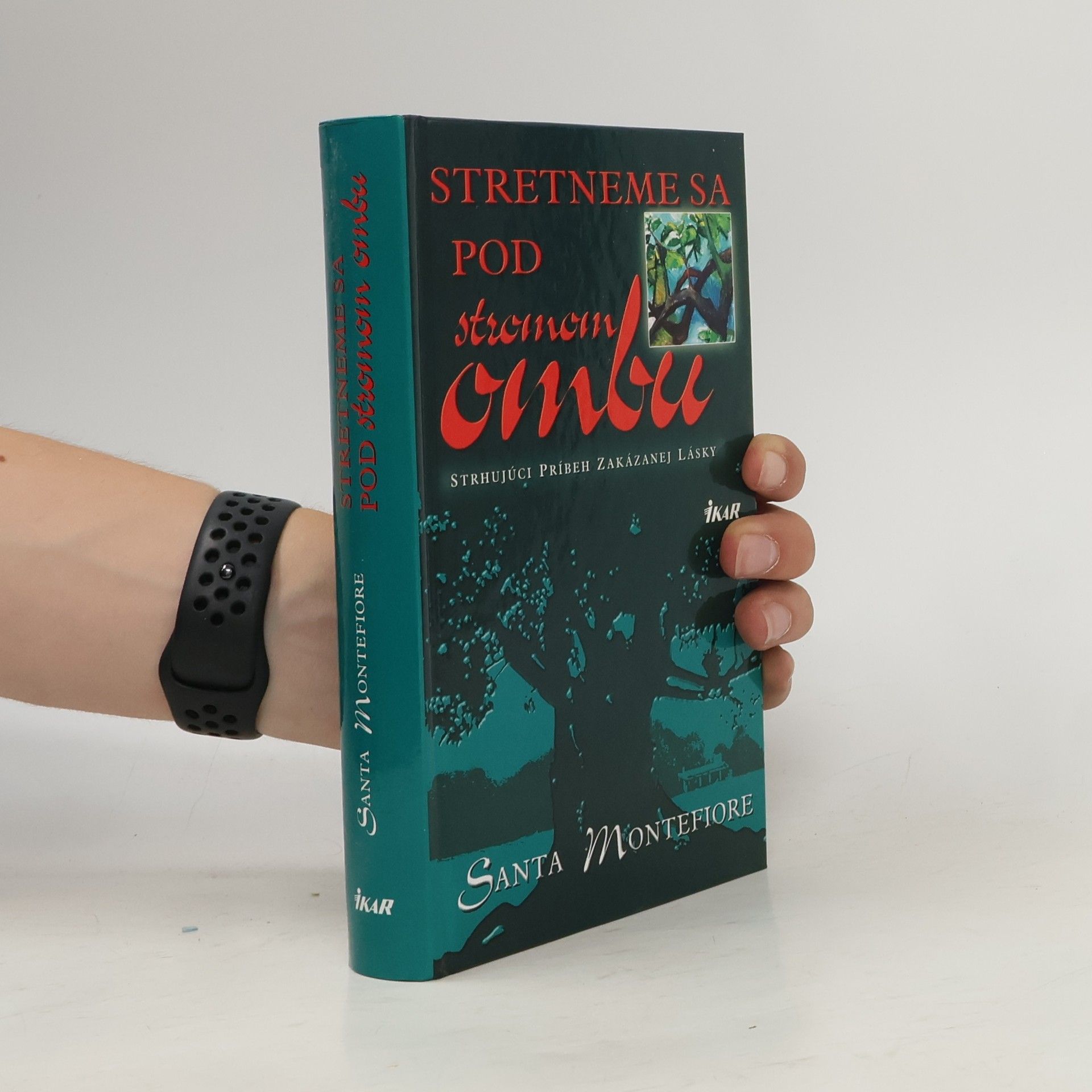 Santa Montefiore Stretneme sa pod stromom ombu