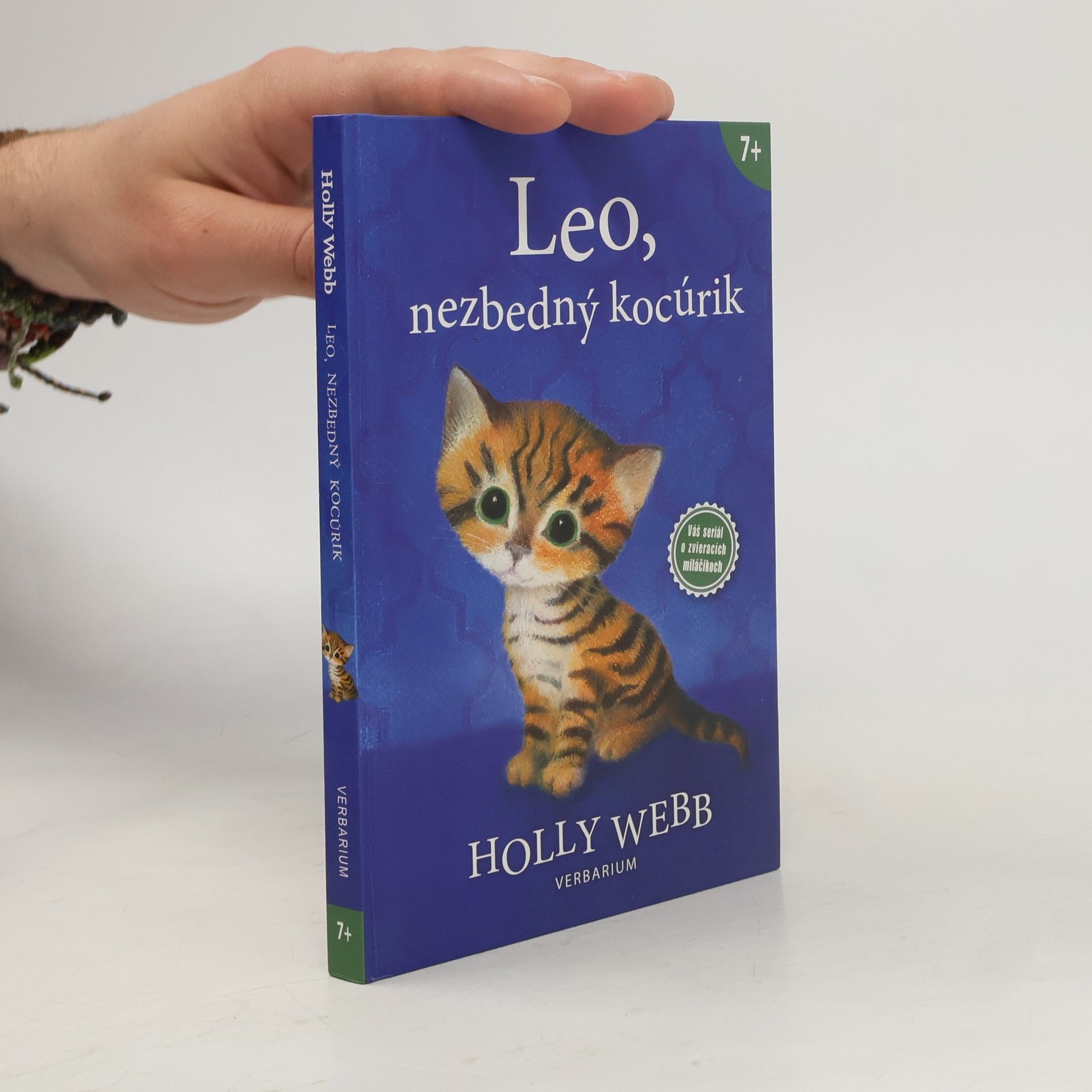 Holly Webb Leo, nezbedný kocúrik