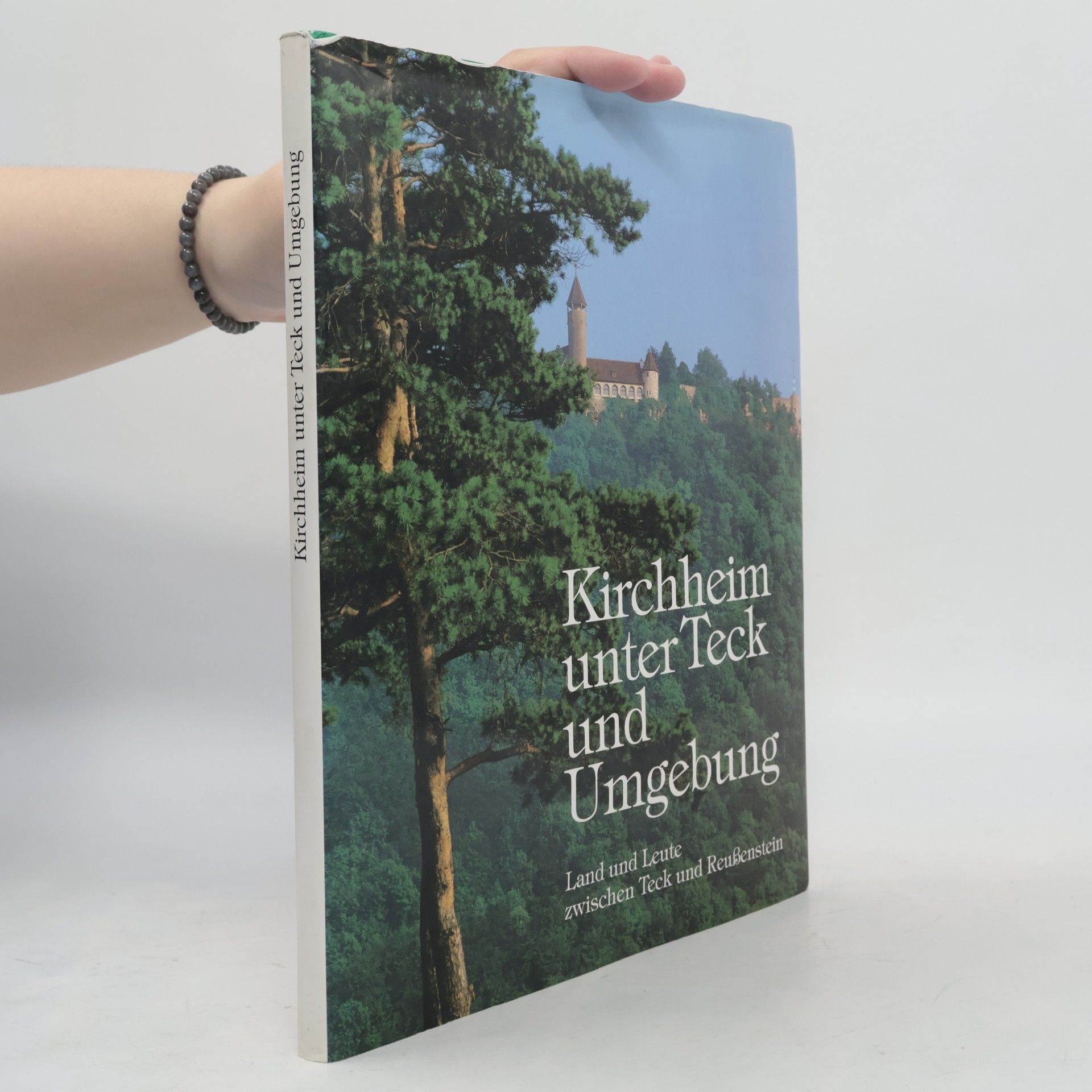 Werner Frasch Kirchheim unter Teck und Umgebung