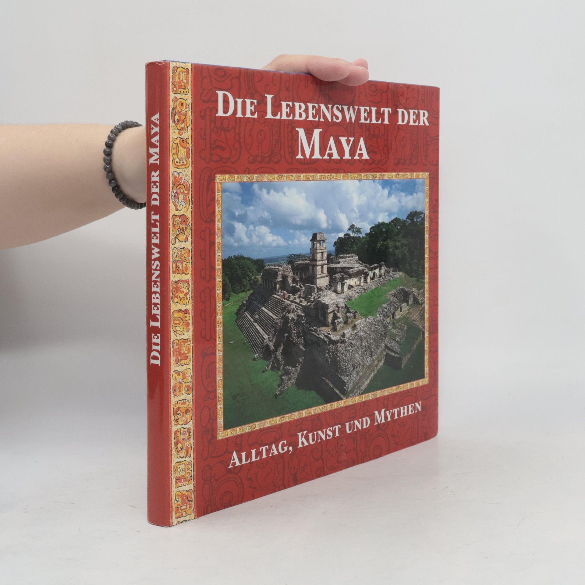 Timothy Laughton Die Lebenswelt der Maya