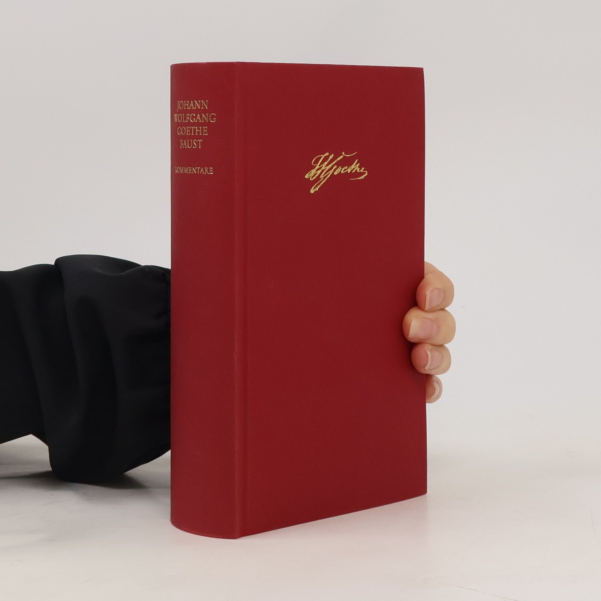 Johann Wolfgang von Goethe Faust. Kommentare