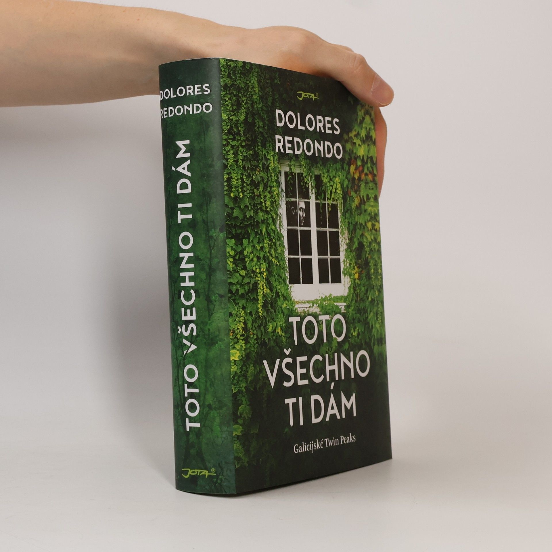 Dolores Redondo Toto všechno ti dám