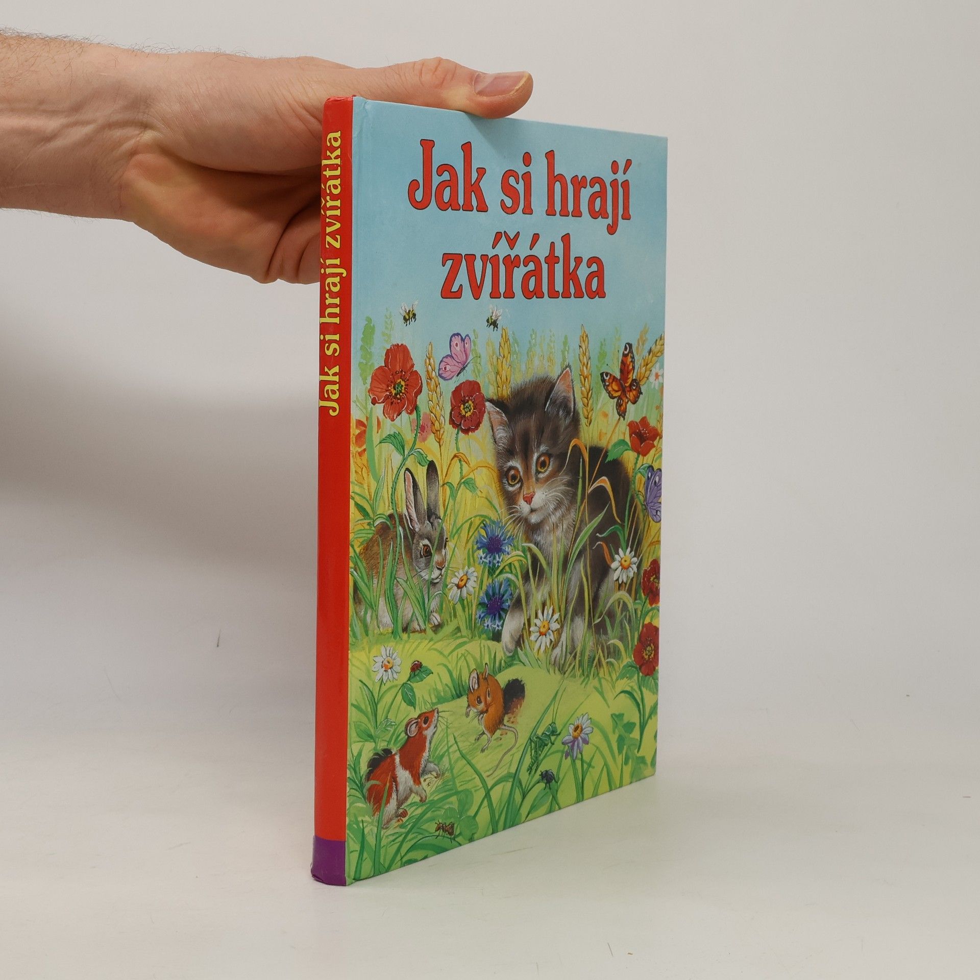 Gisela Fischer-Lingat Jak si hrají zvířátka