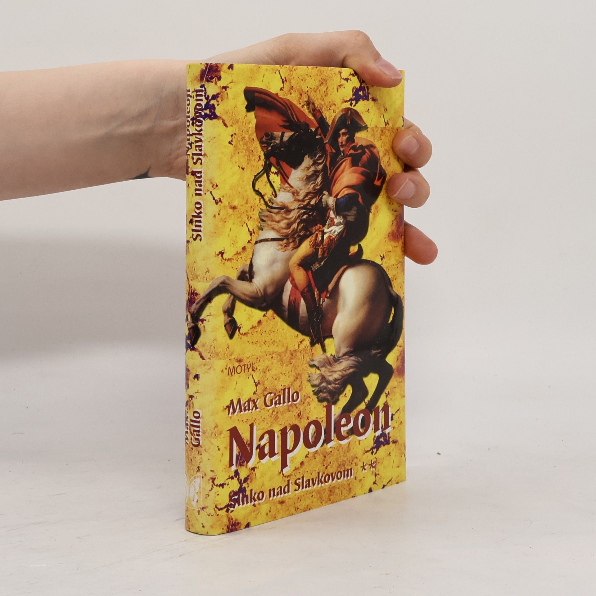 Max Gallo Napoleon: Slnko nad Slavkovom