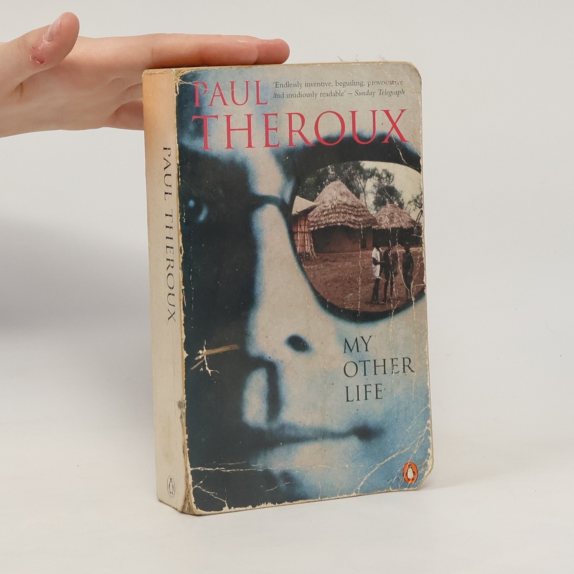 Paul Theroux My Other Life