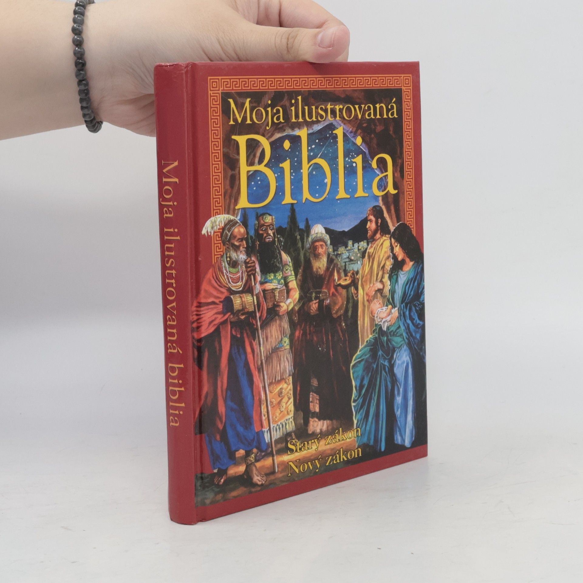 Piotr Krzyżewski Moja ilustrovaná Biblia