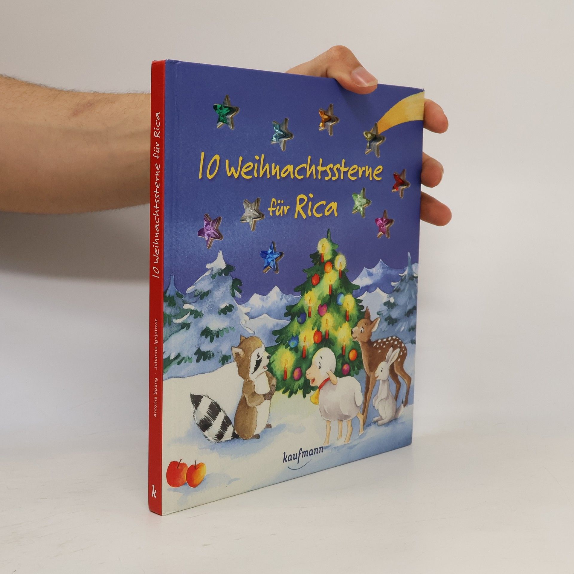 Antonia Spang 10 Weihnachtssterne für Rica