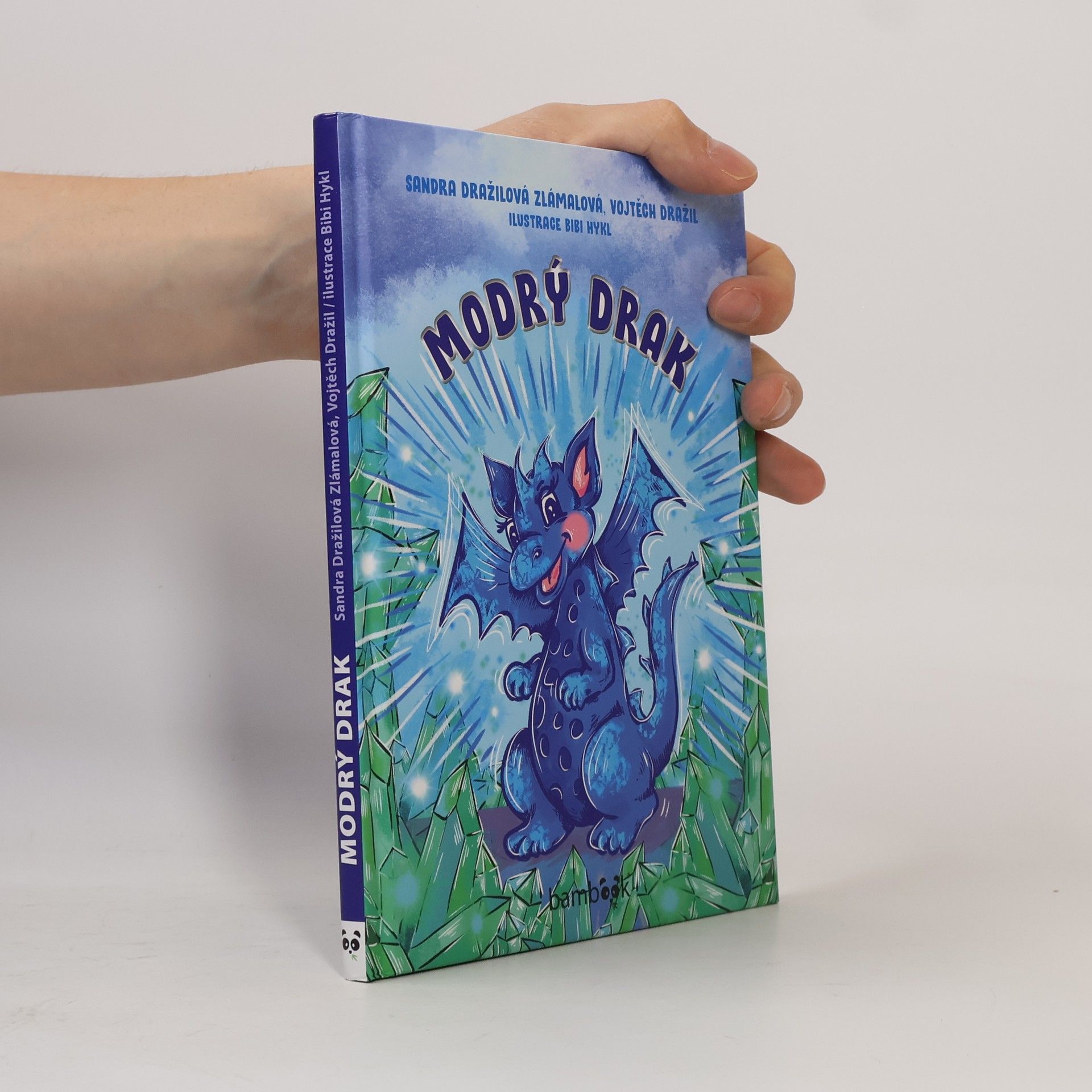 Vojtěch Dražil Modrý drak