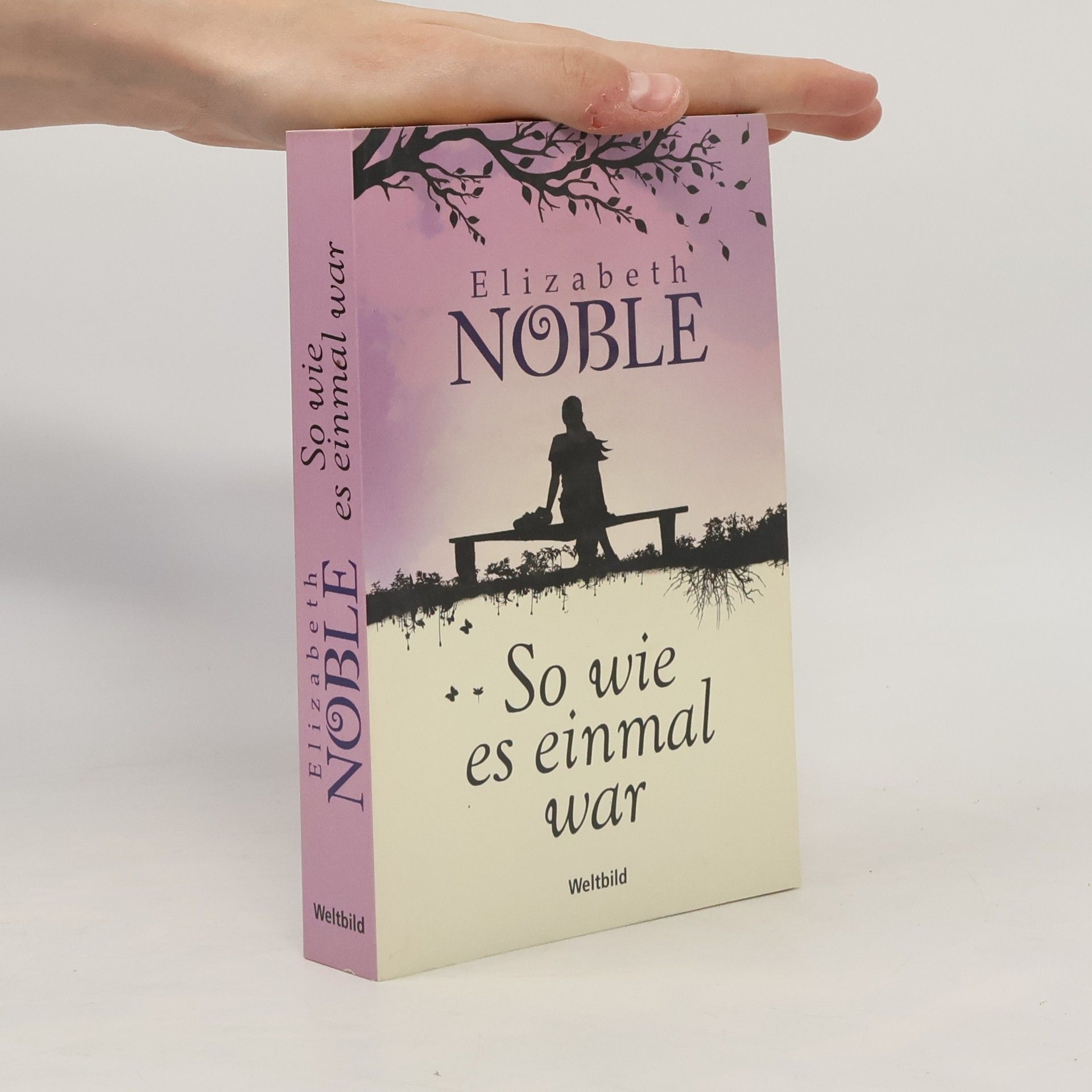 Elizabeth Noble So wie es einmal war