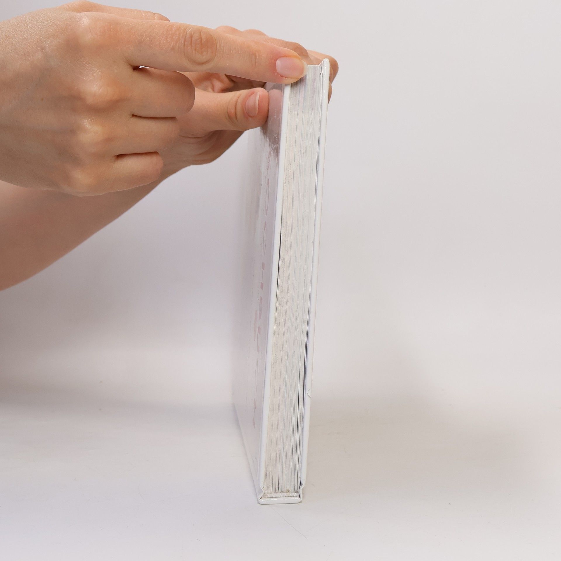Anneliese Bahr Kochbuch für die Küchenmaschine