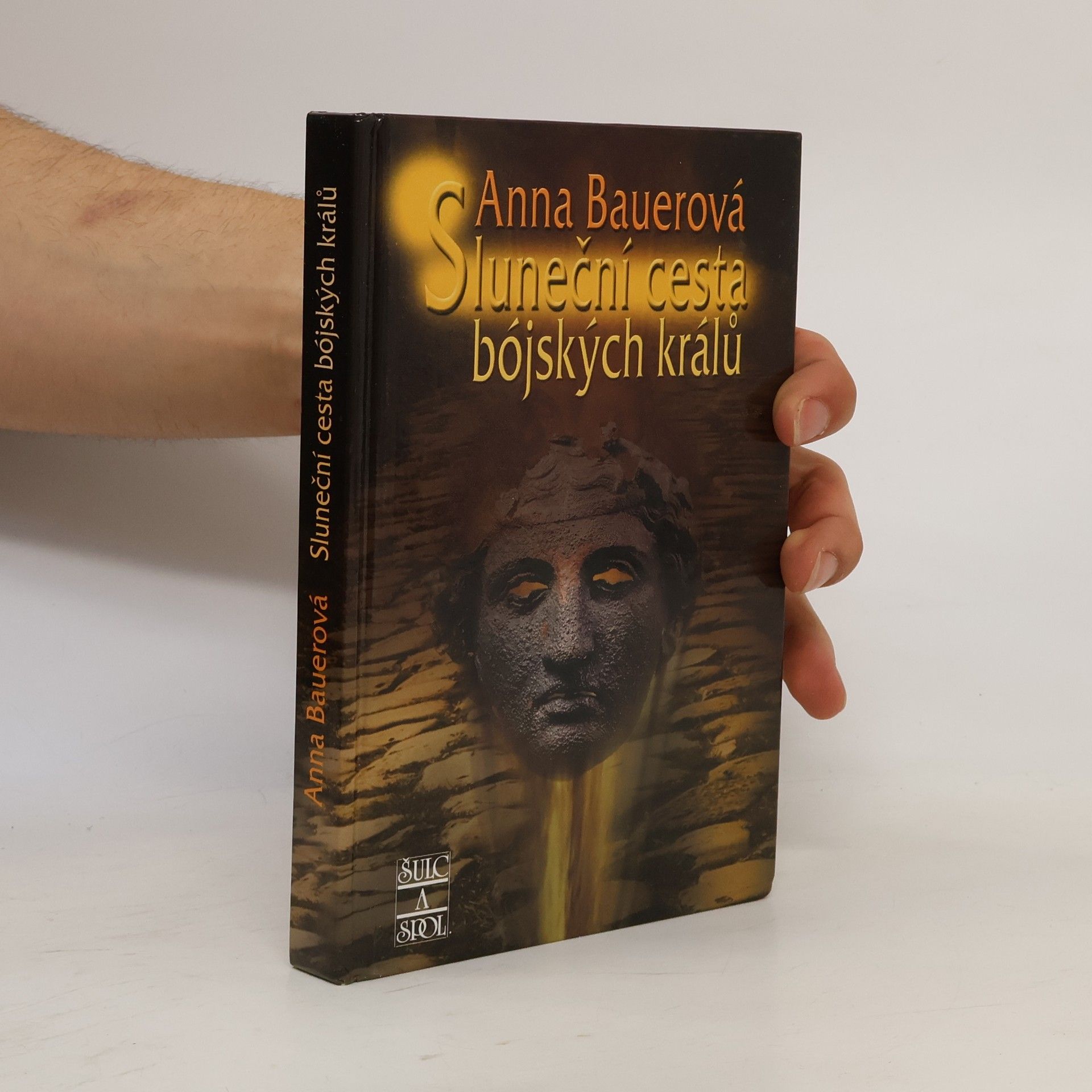 Anna Bauer Sluneční cesta bójských králů