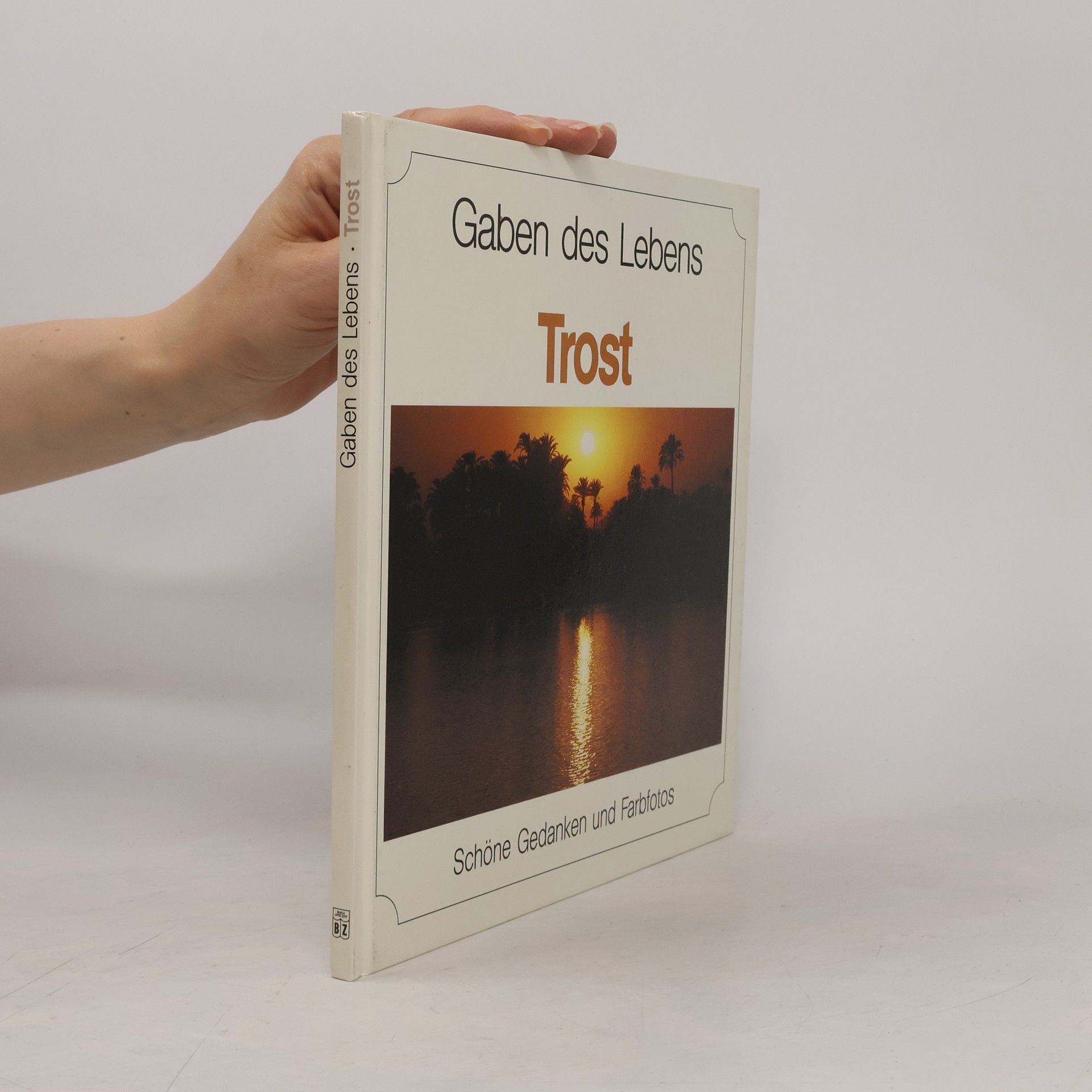 Collectif d'auteurs Gaben des Lebens. Trost