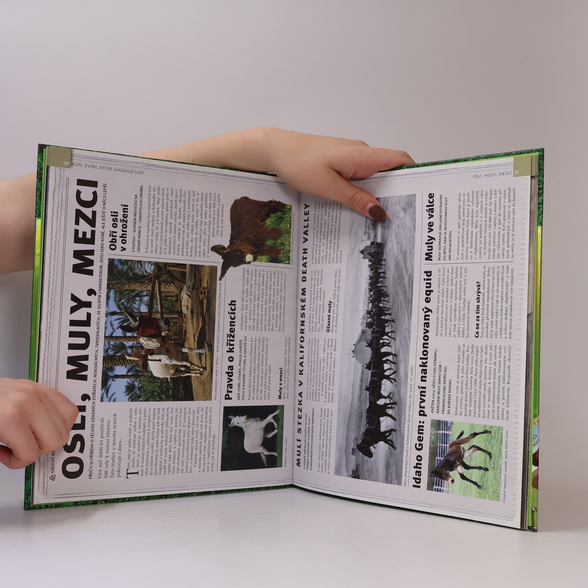 AA.VV. Kůň : zvíře, které změnilo svět