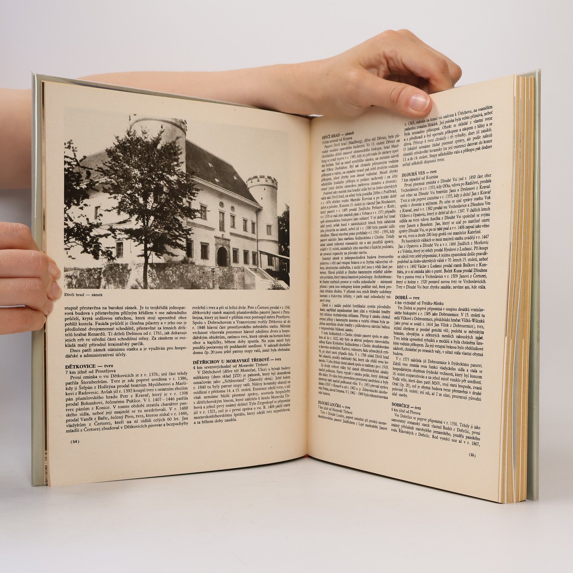 Various authors Hrady, zámky a tvrze v Čechách, na Moravě a ve Slezsku II. Severní Morava