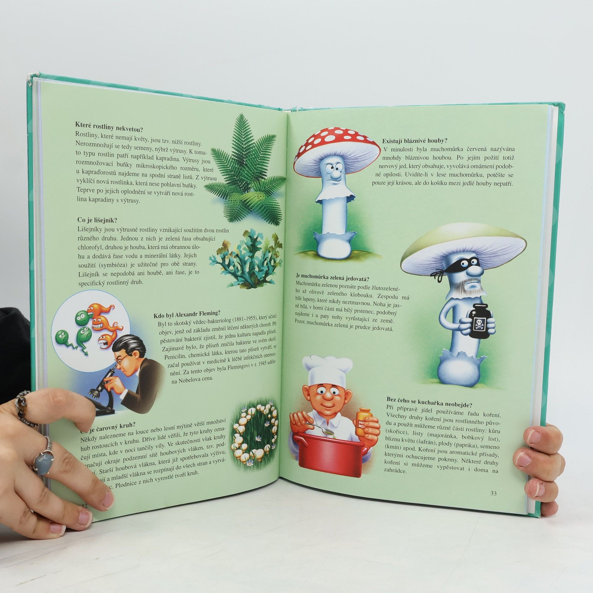 Autorenkollektiv Velká kniha malého školáka : vše, co děti chtějí vědět