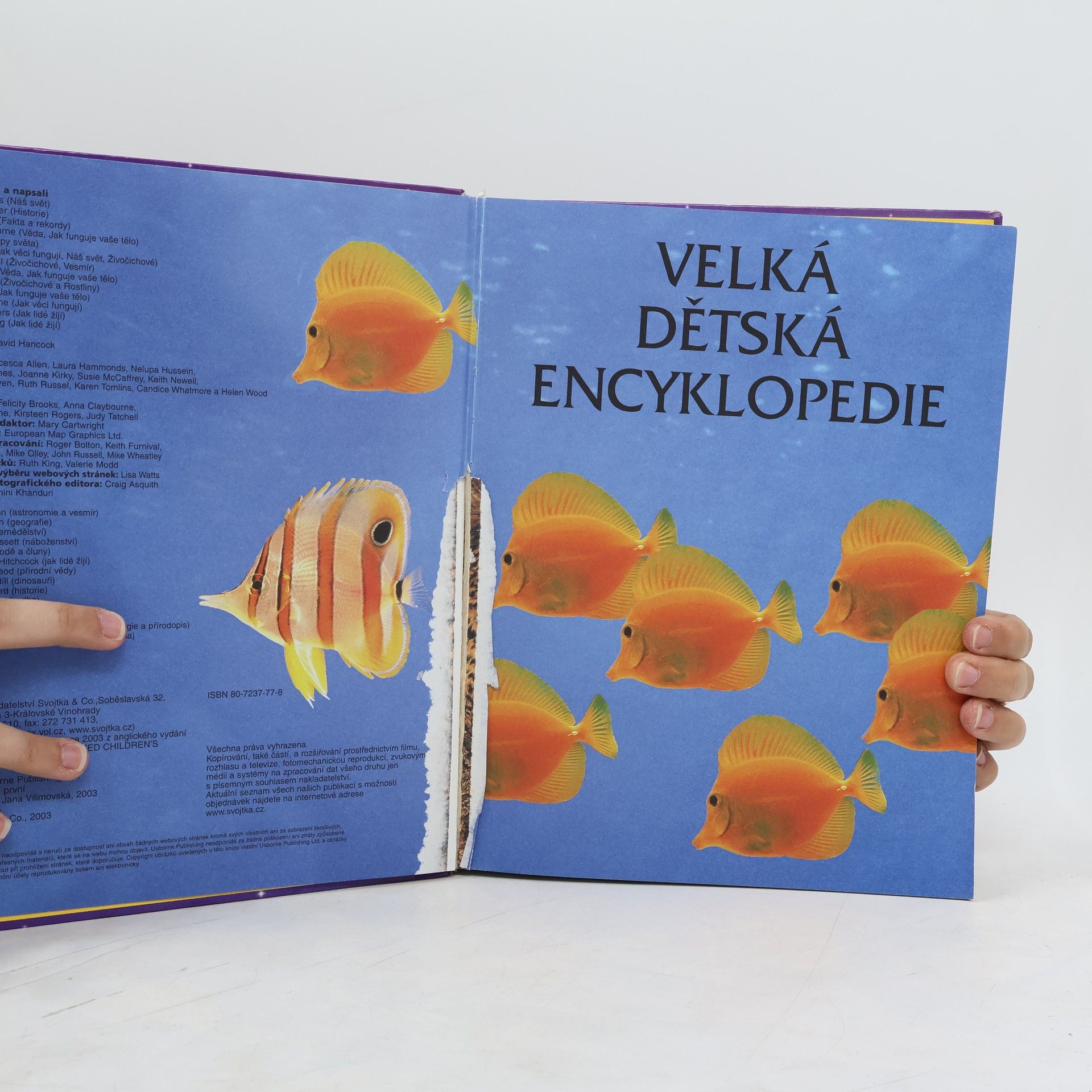 Autorenkollektiv Velká dětská encyklopedie
