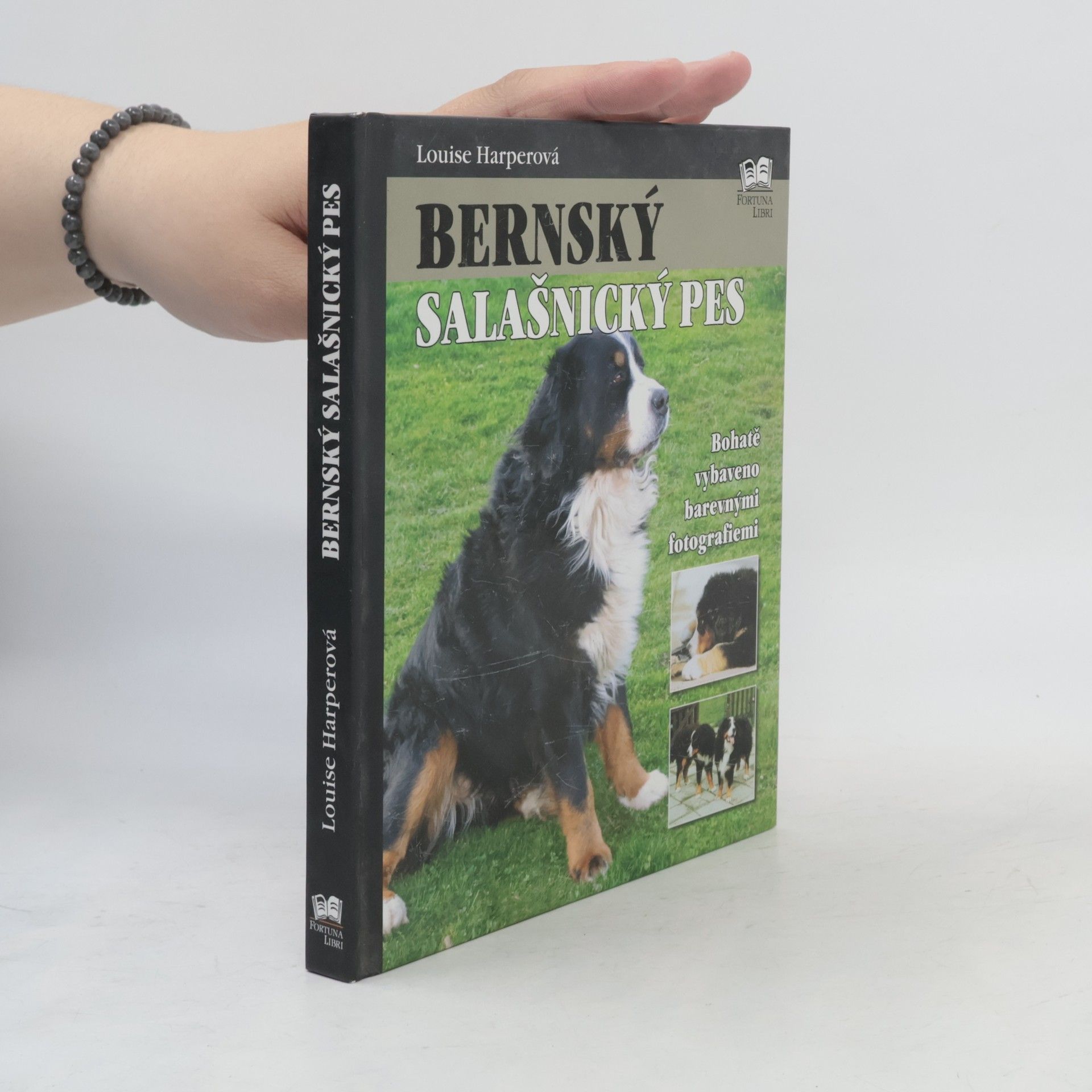 Louise Harper Bernský salašnický pes
