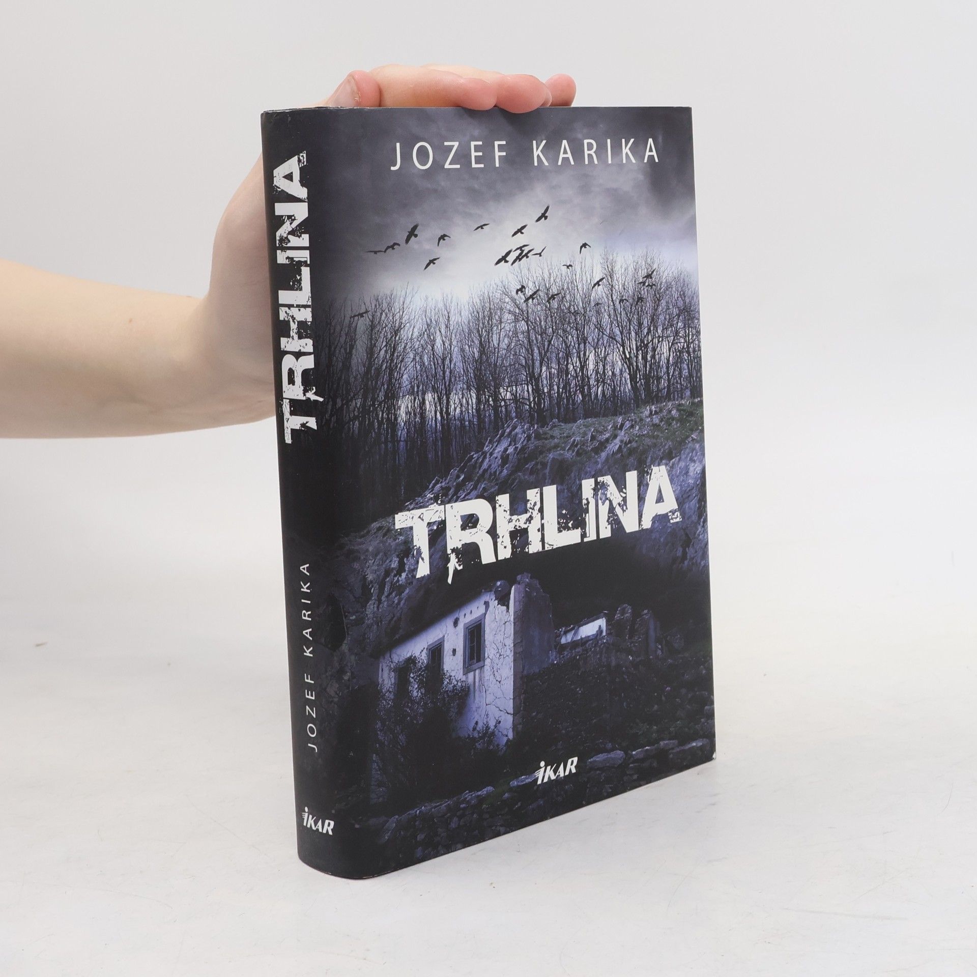Jozef Karika Trhlina