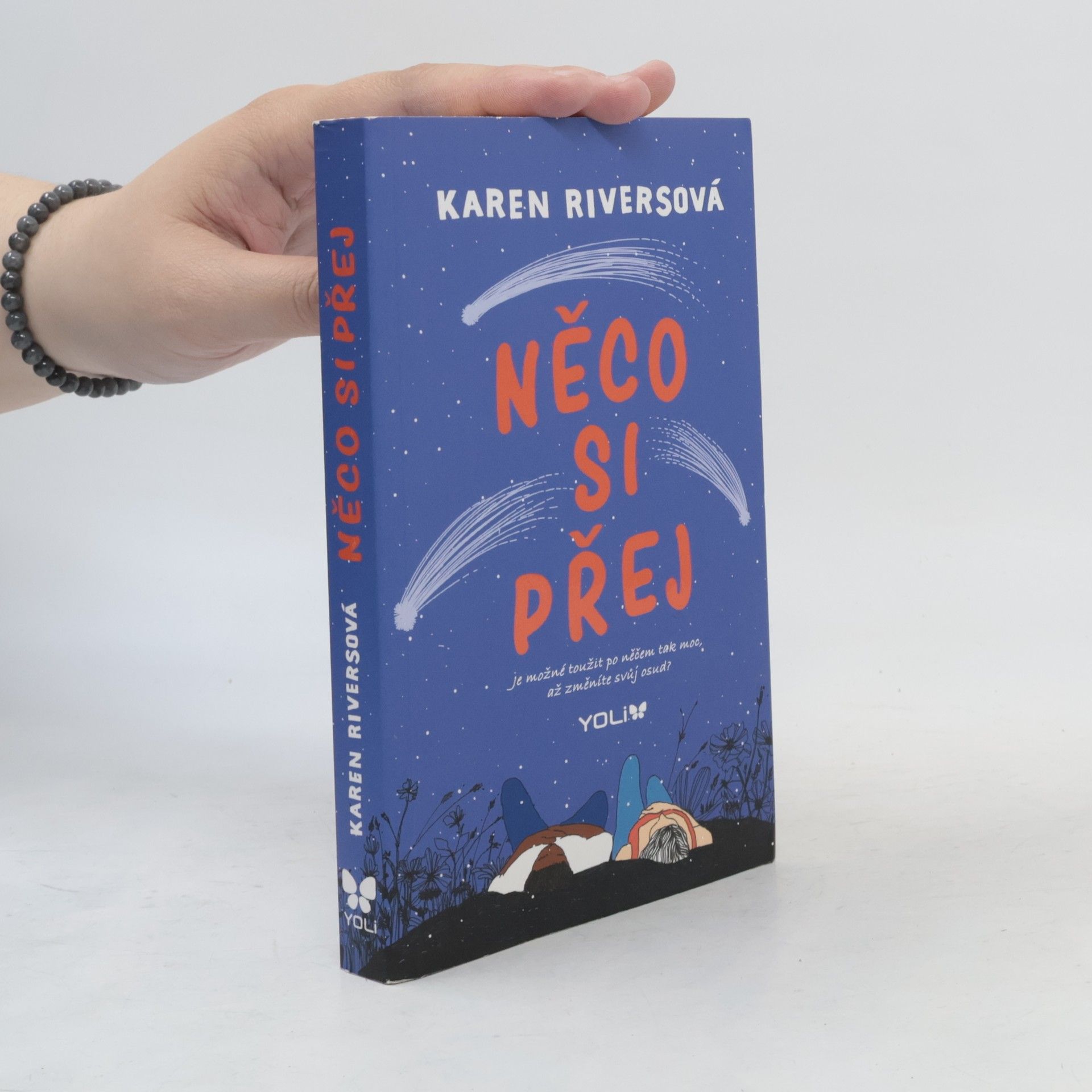 Karen Rivers Něco si přej