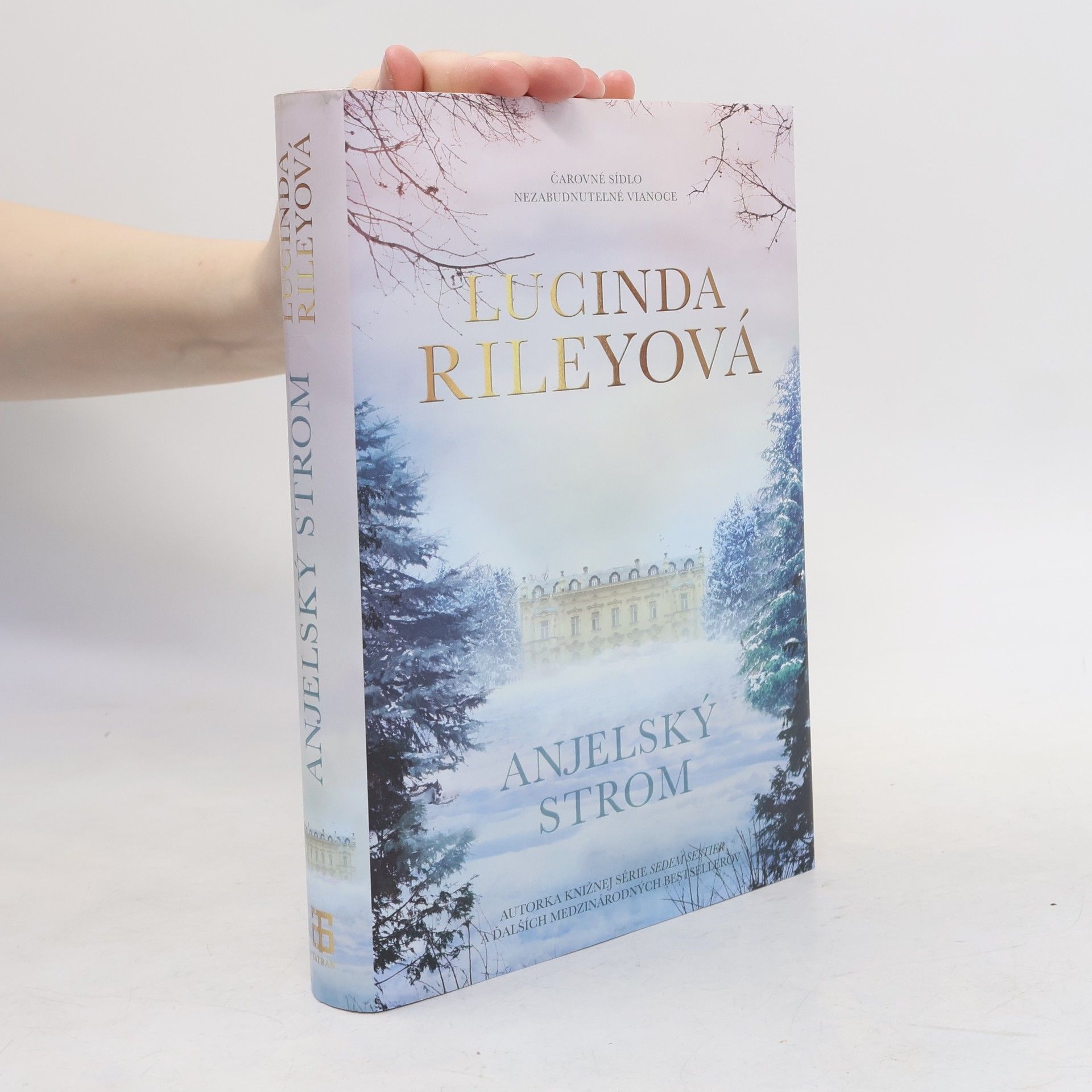 Lucinda Riley Anjelský strom