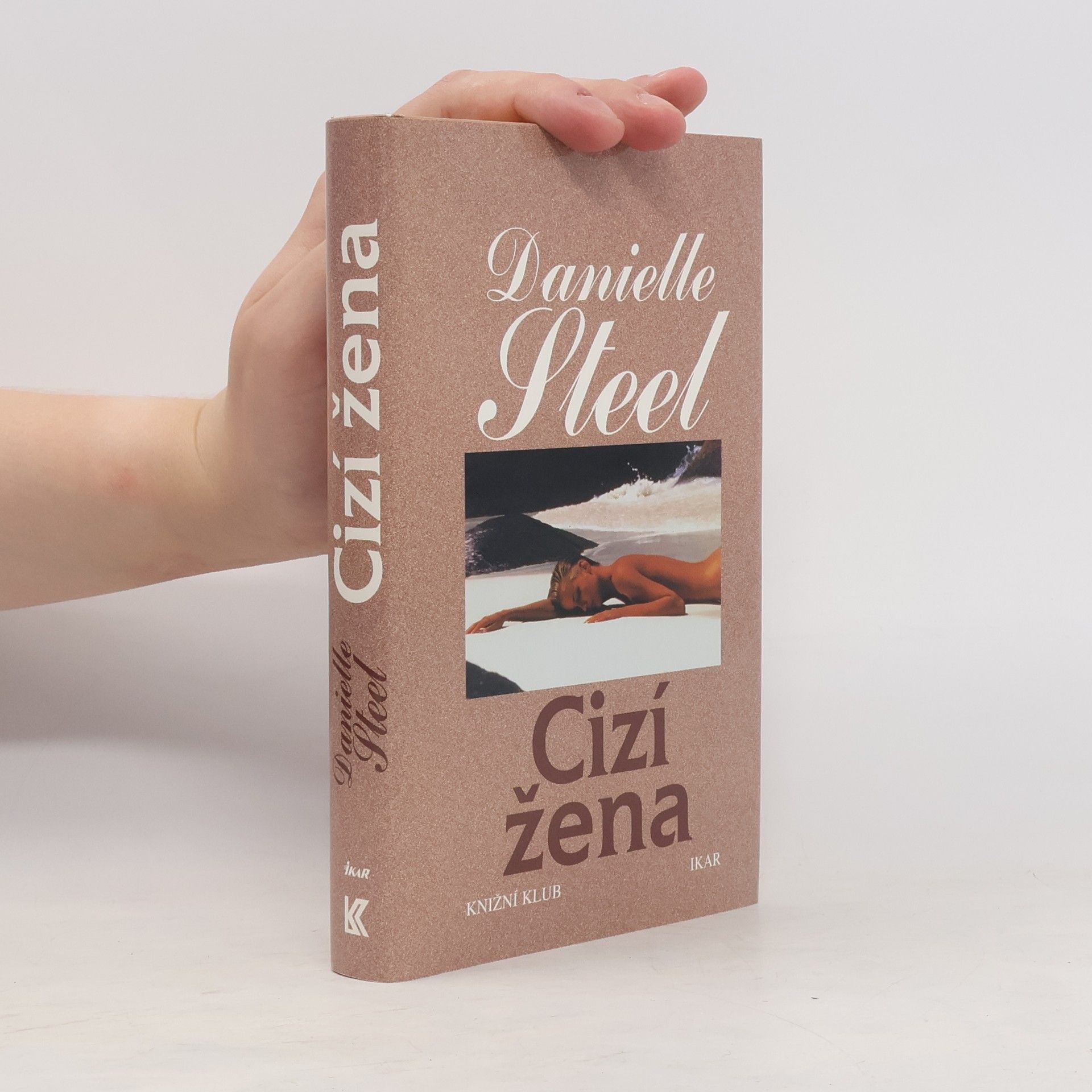 Danielle Steel Cizí žena