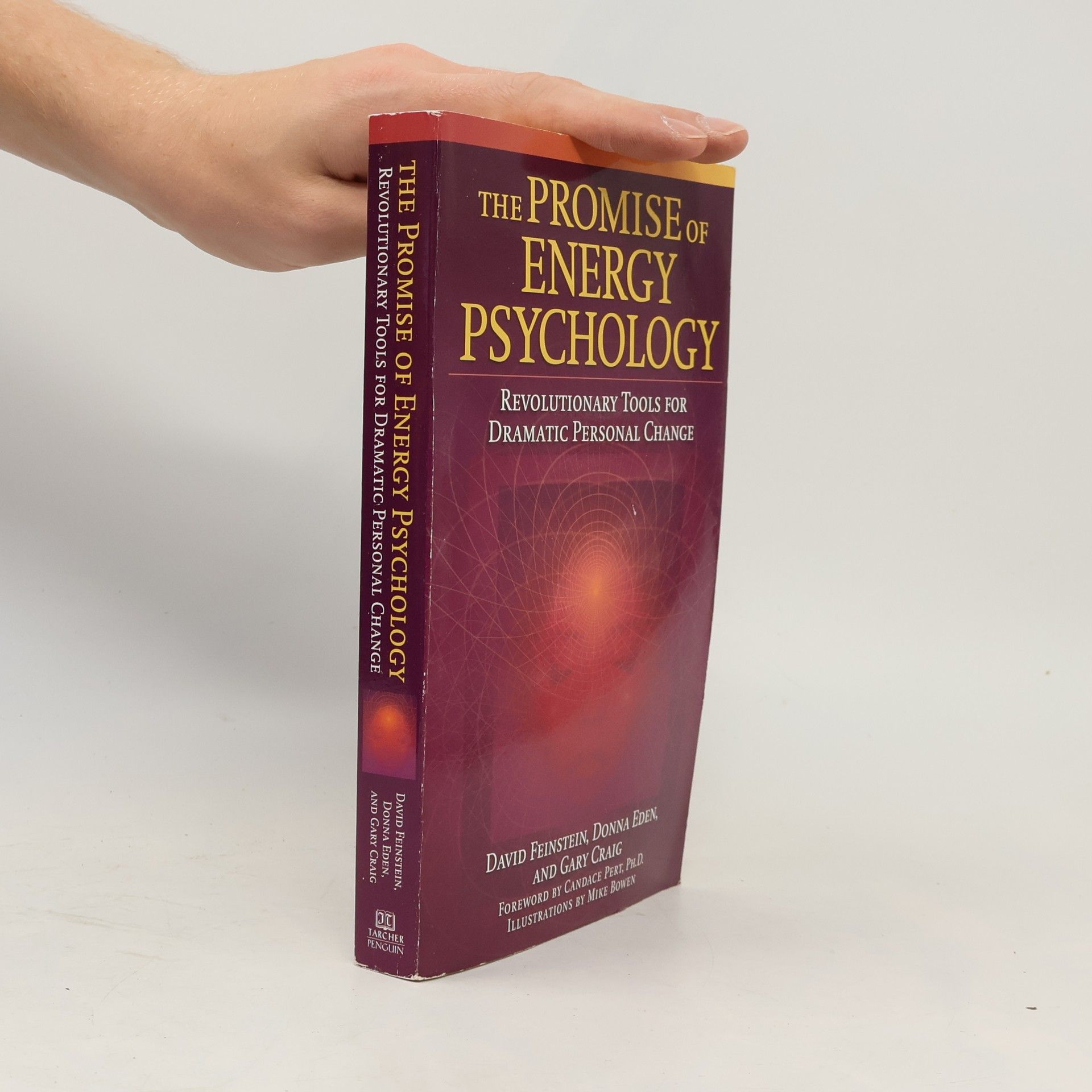 David Feinstein The Promise of Energy Psychology