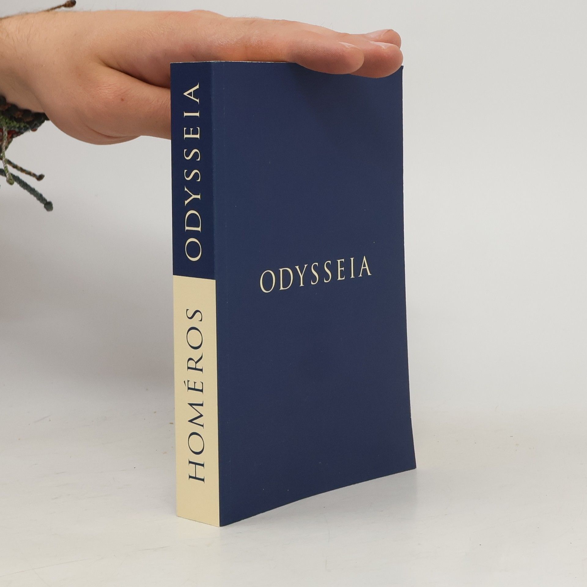 Homér Odysseia