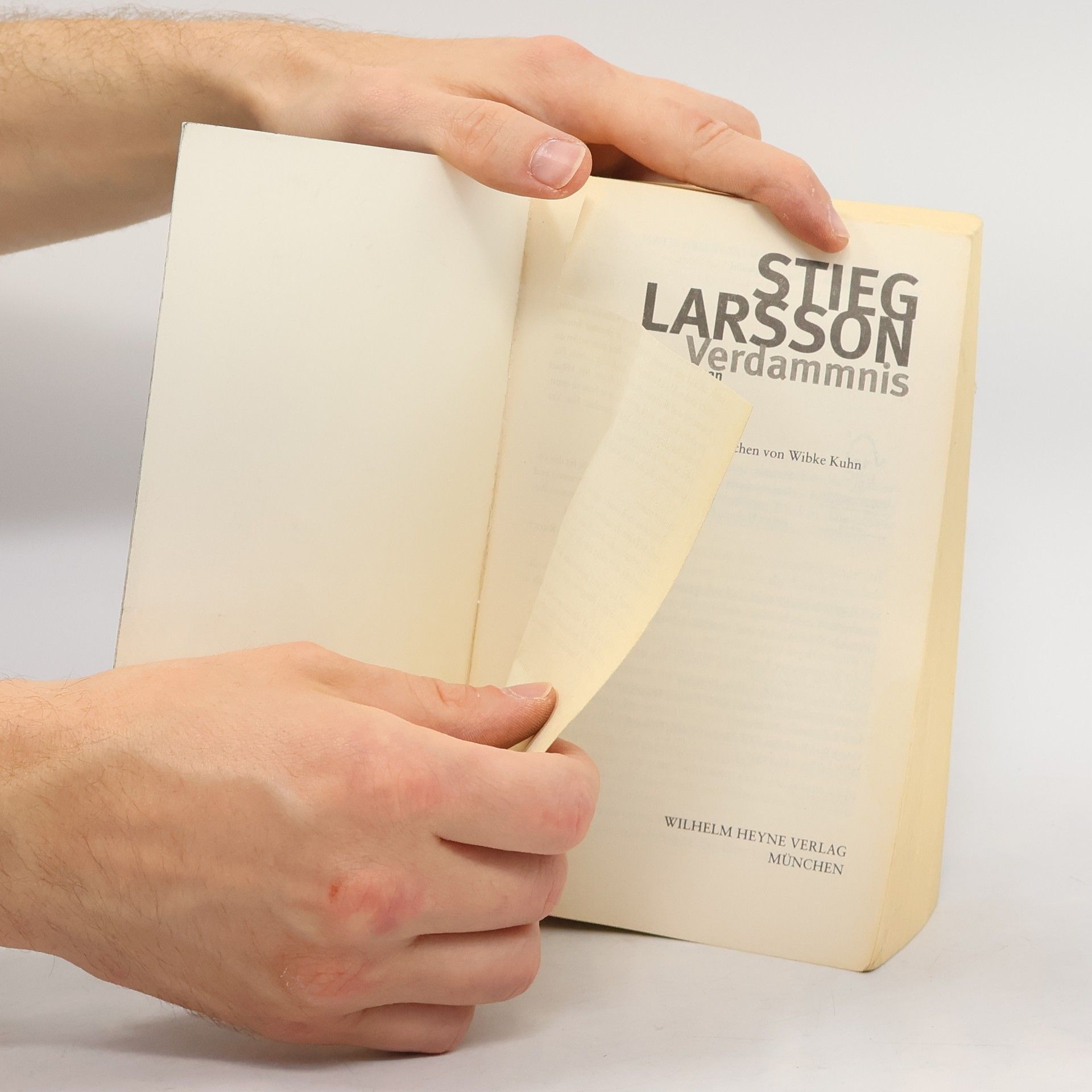 Stieg Larsson Verdammnis
