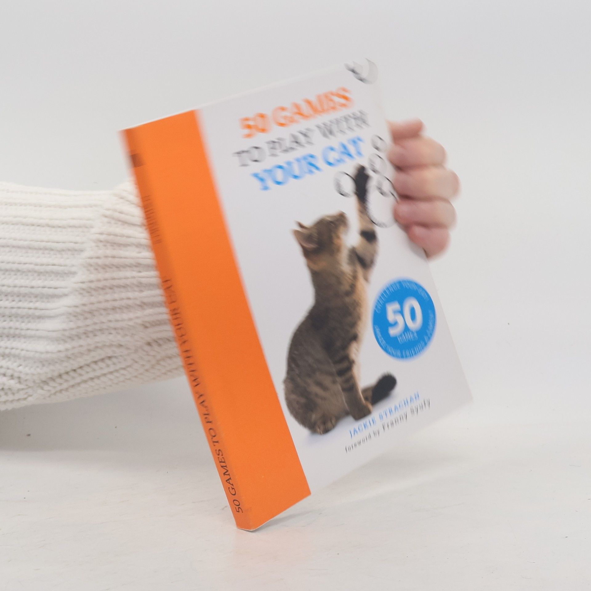 50 Games to Play with Your Cat