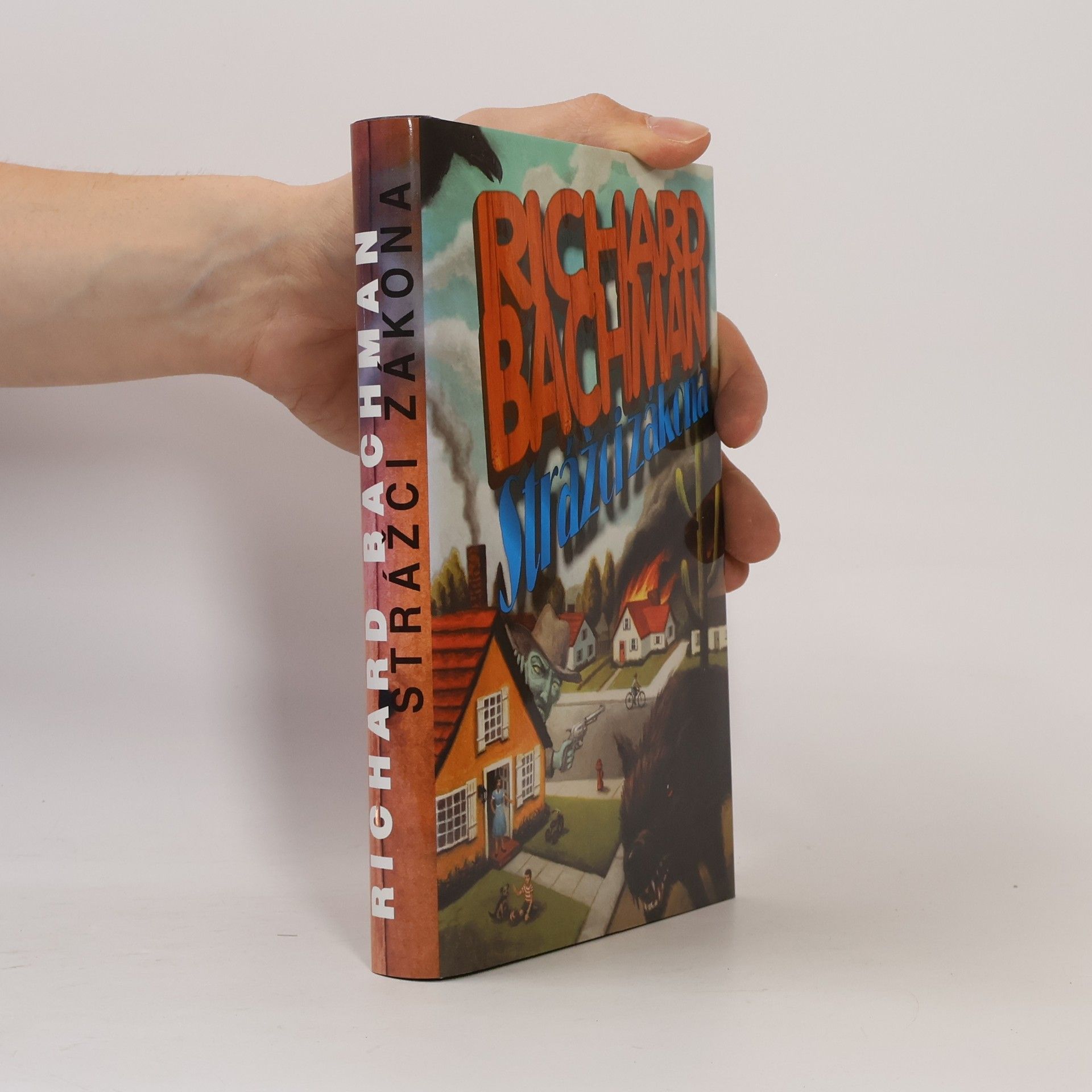 Stephen King Strážci zákona