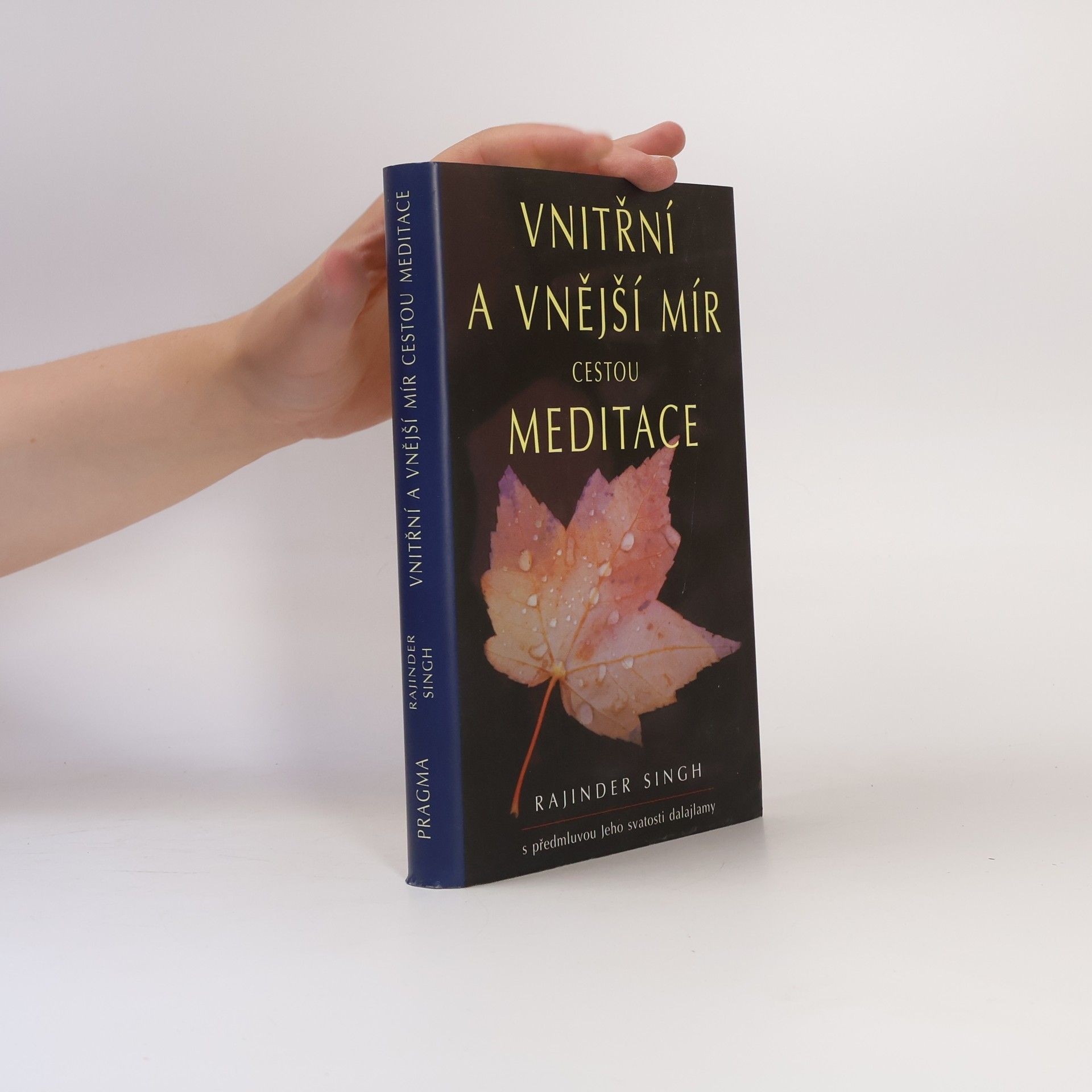 Rajinder Singh Vnitřní a vnější mír cestou meditace