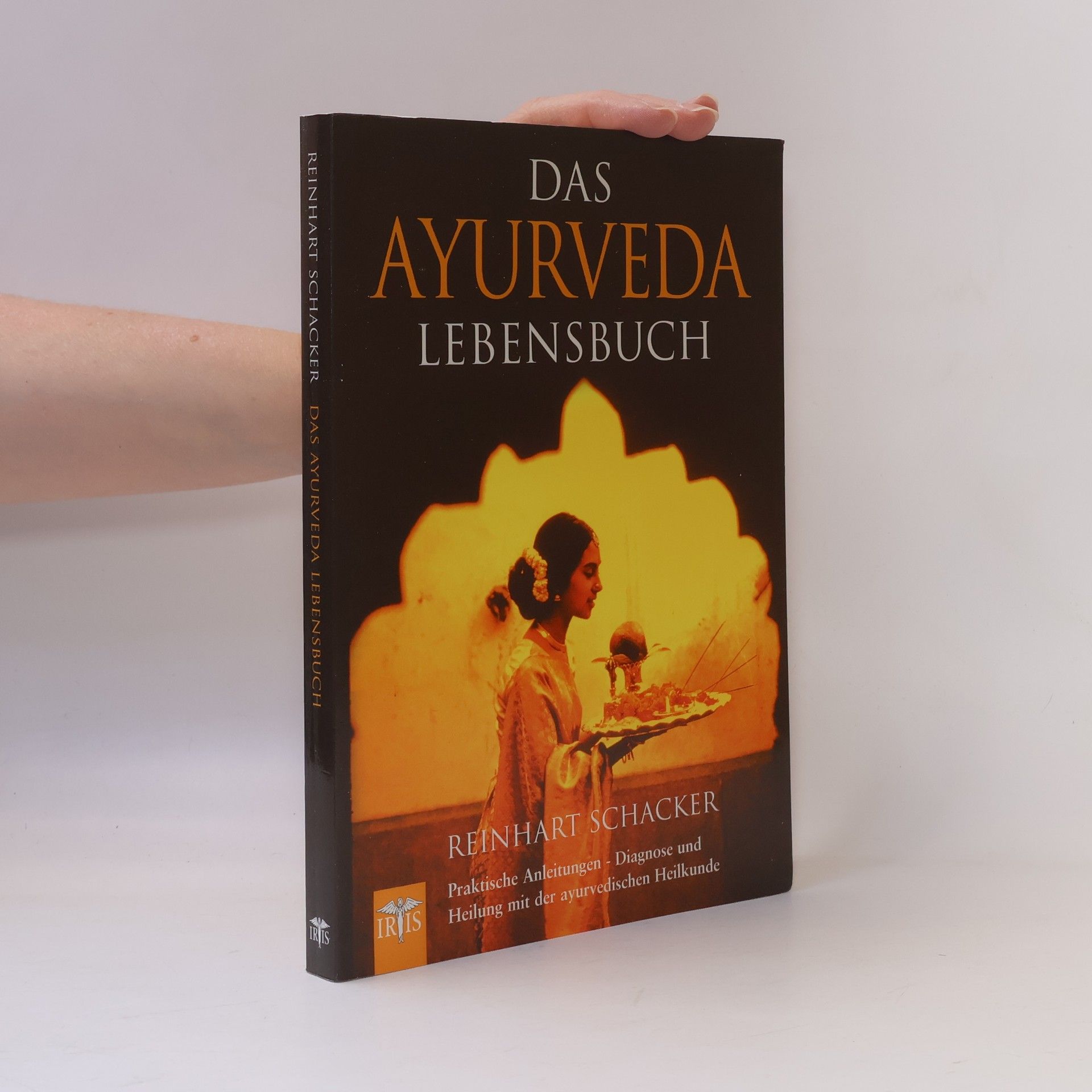 Reinhart Schacker Das grosse Ayurveda-Lebensbuch