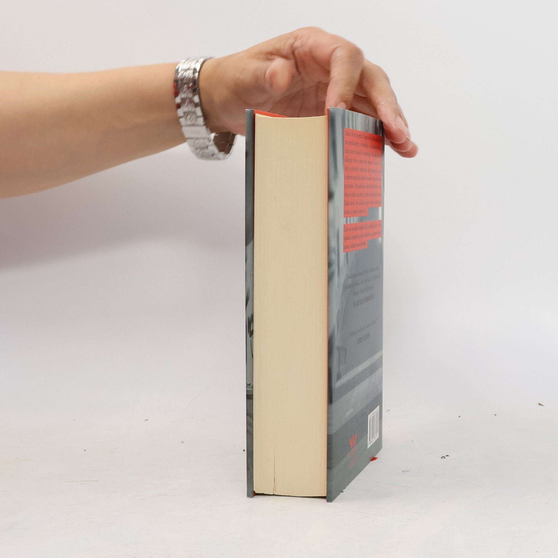 Michael Robotham V podezření