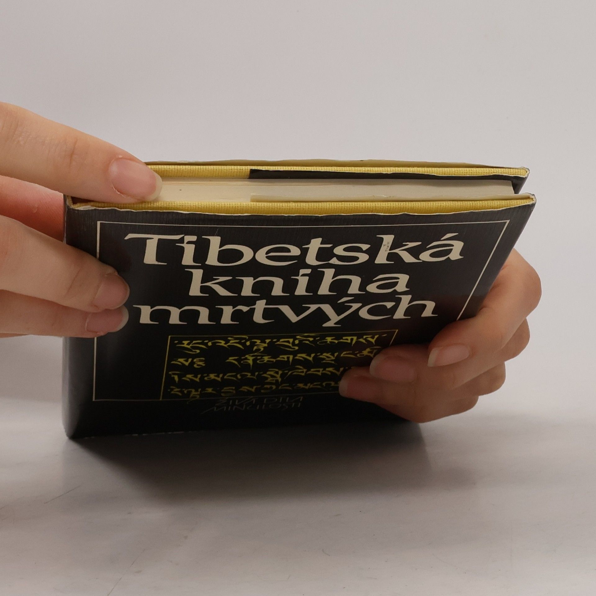 Josef Kolmaš Tibetská kniha mrtvých