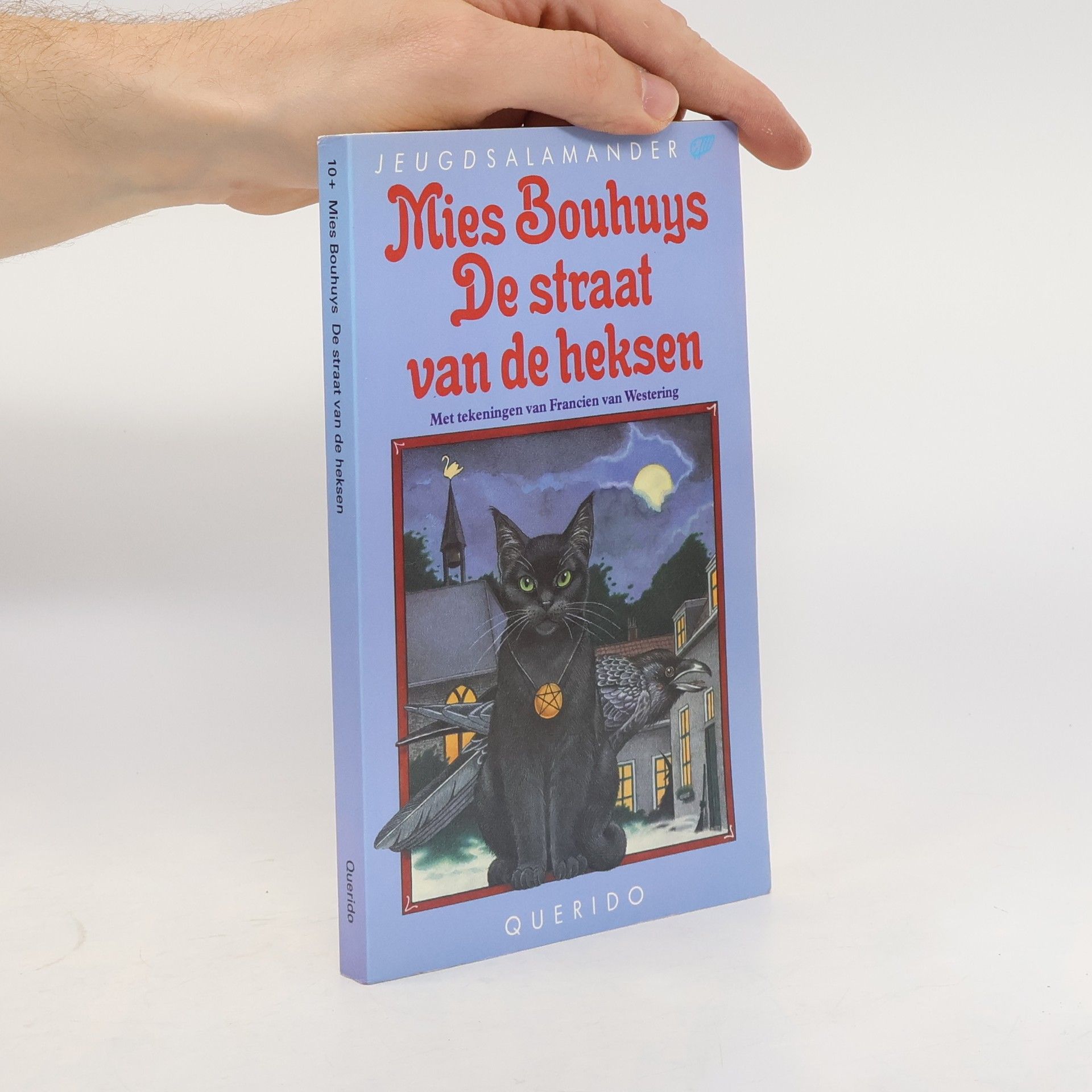 Francien van Westering De straat van de heksen