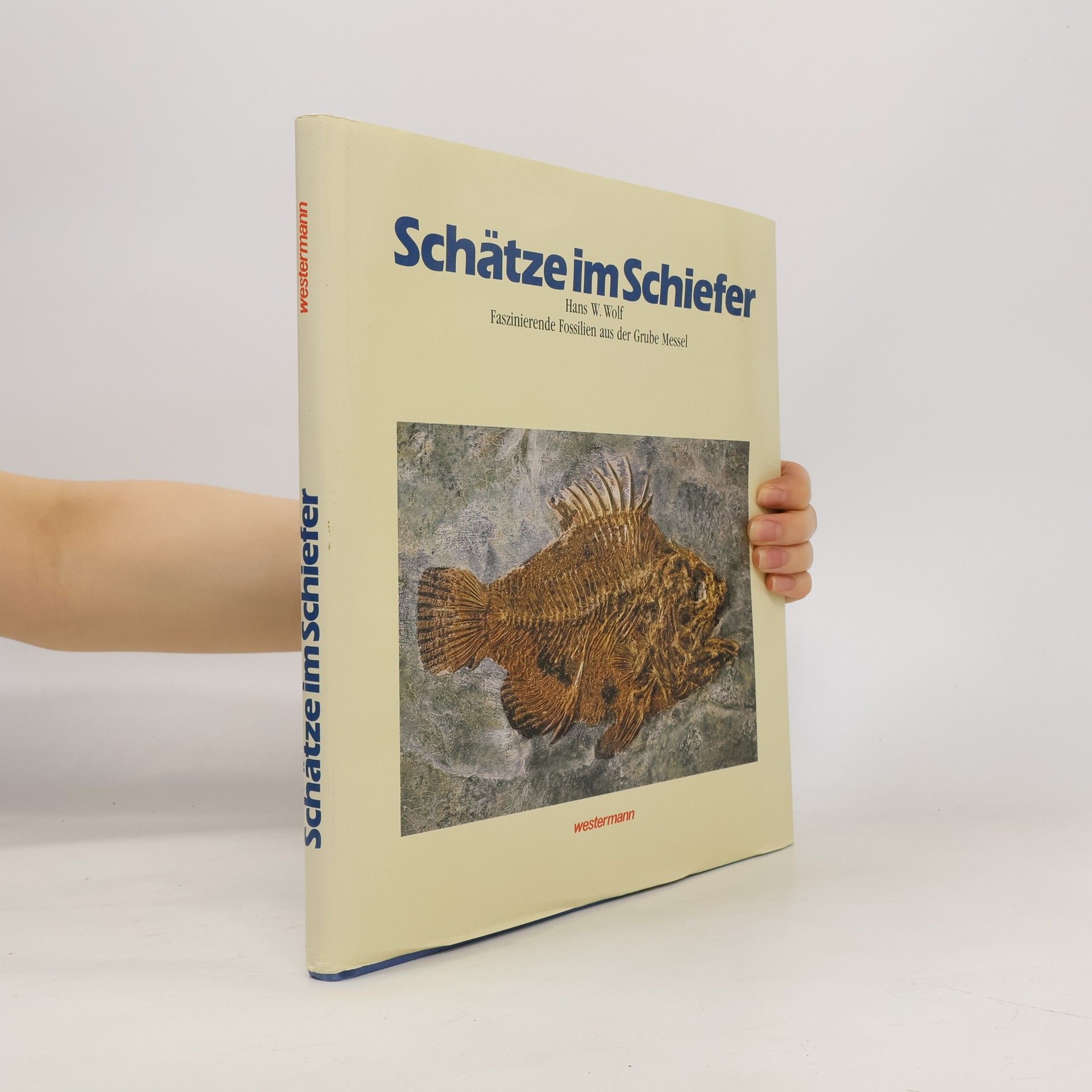 Hans W. Wolf Schätze im Schiefer
