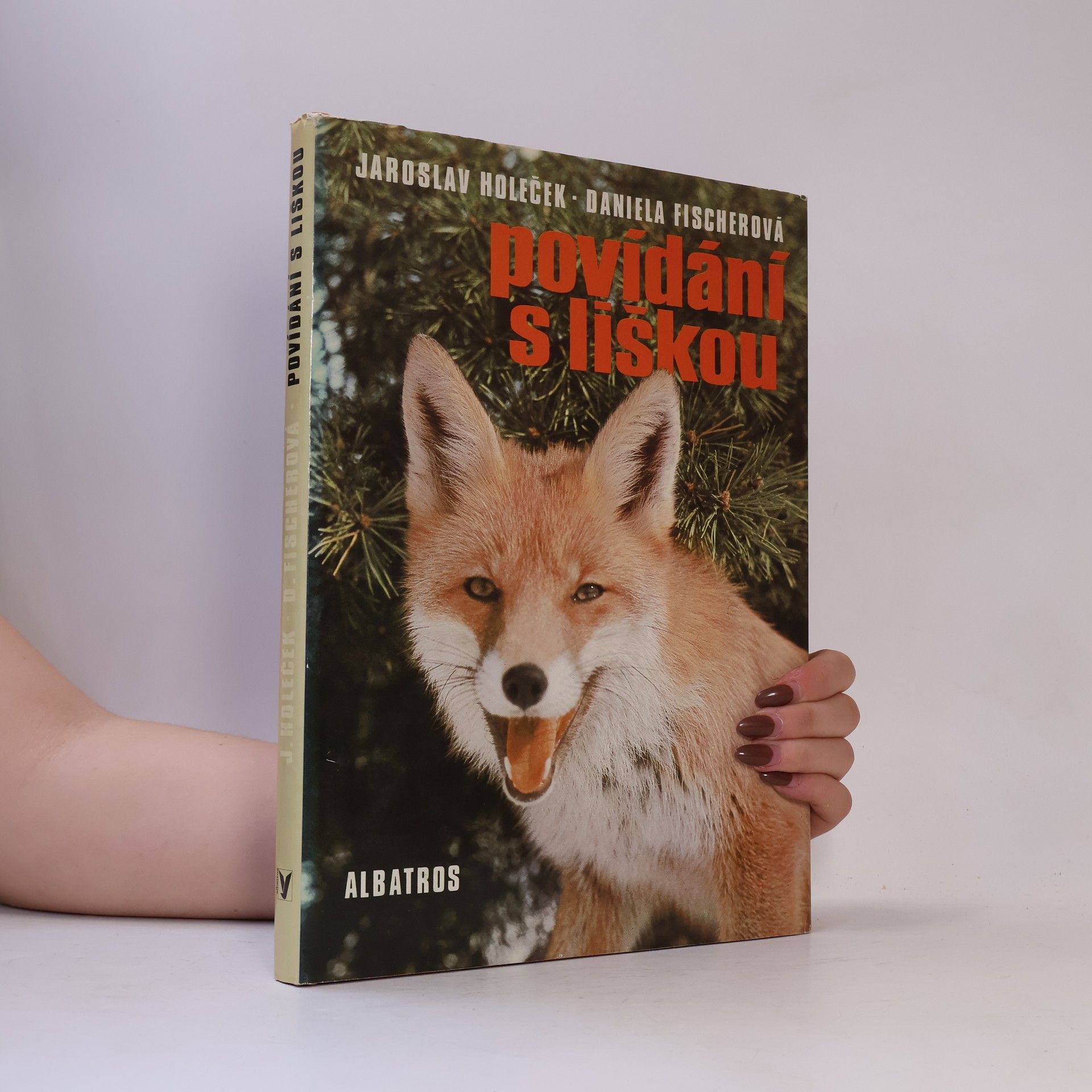 Povídání s liškou