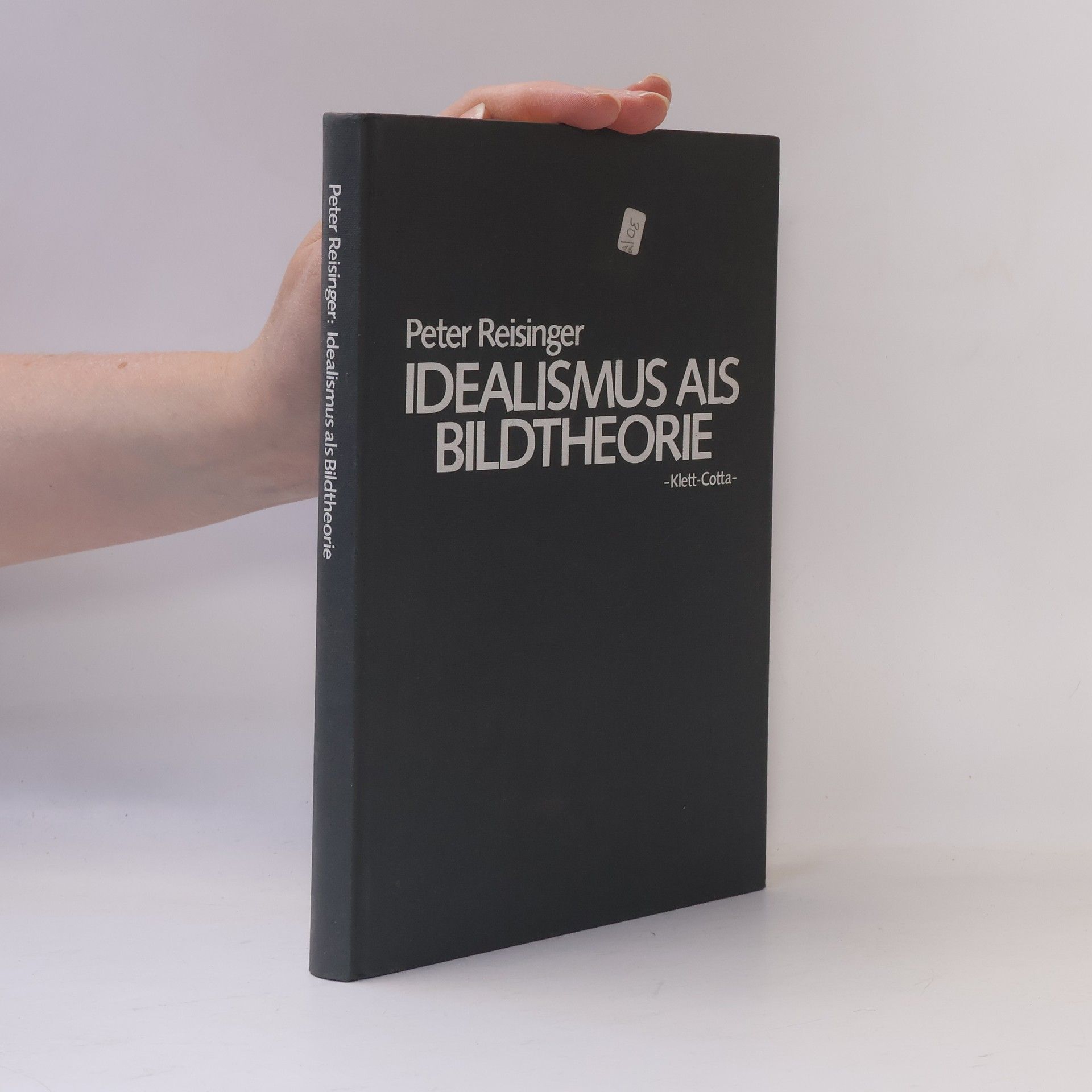 Peter Reisinger Idealismus als Bildtheorie