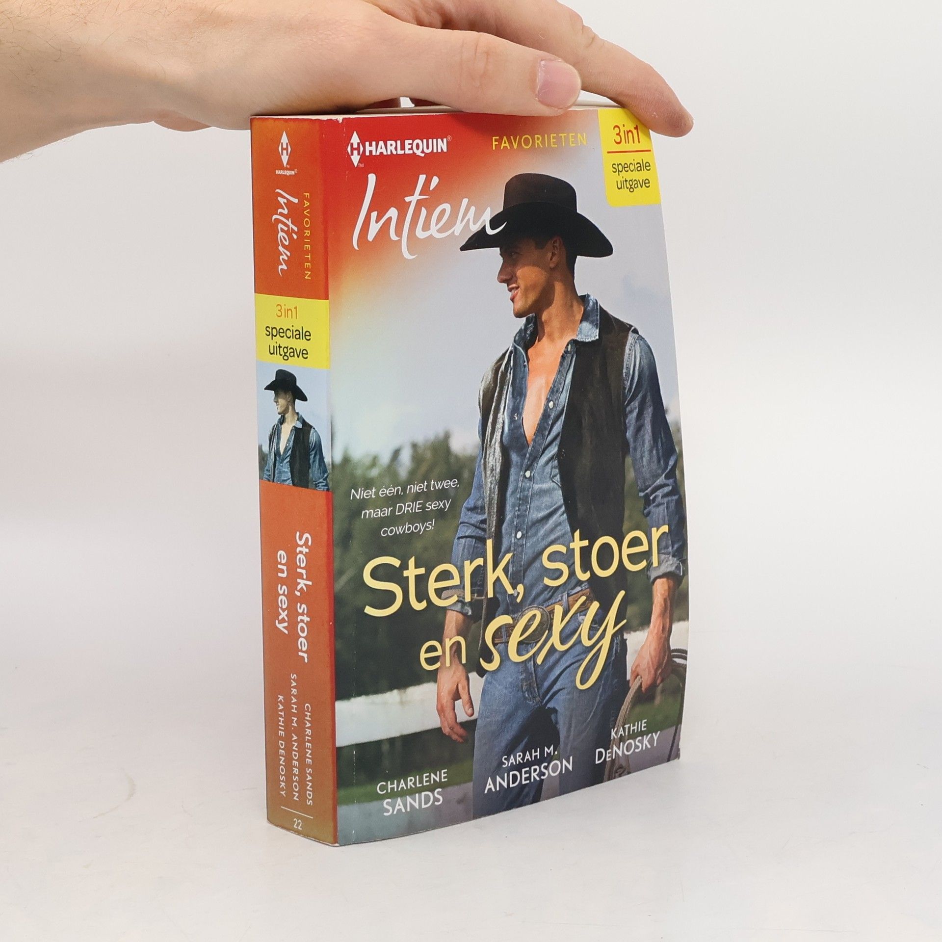 Sarah M. Anderson Sterk, stoer en sexy