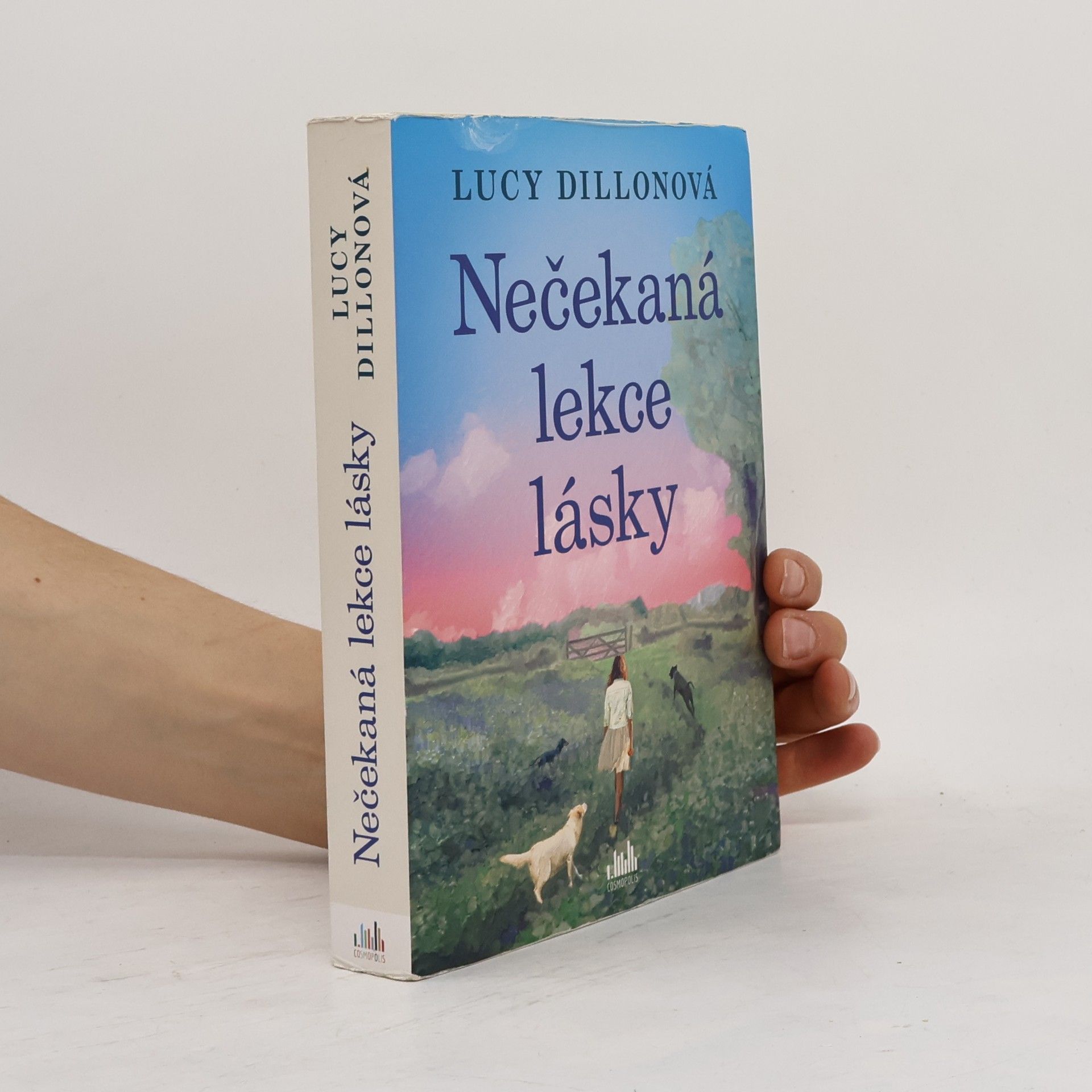 Lucy Dillon Nečekaná lekce lásky