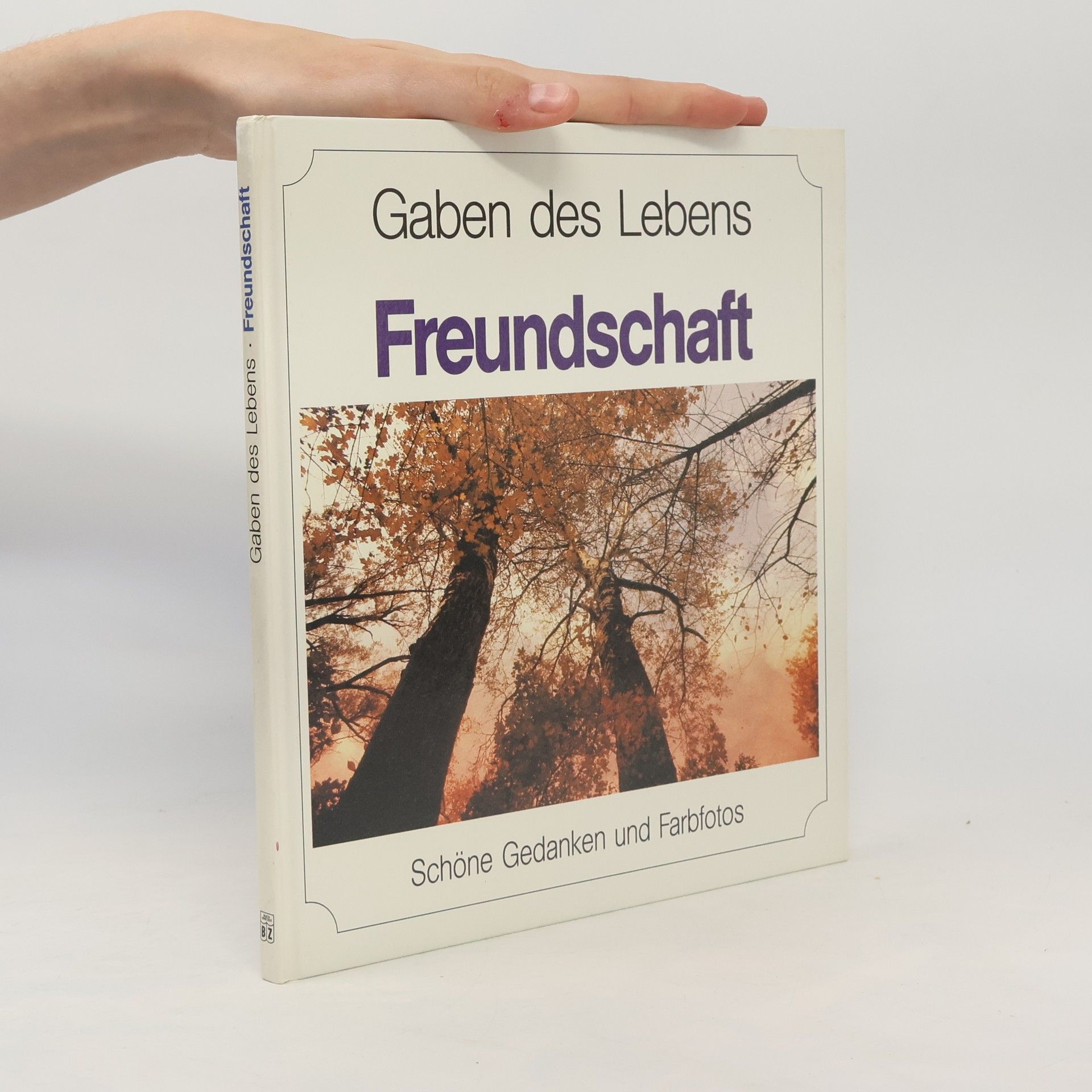 Collectif d'auteurs Gaben des Lebens - Freundschaft